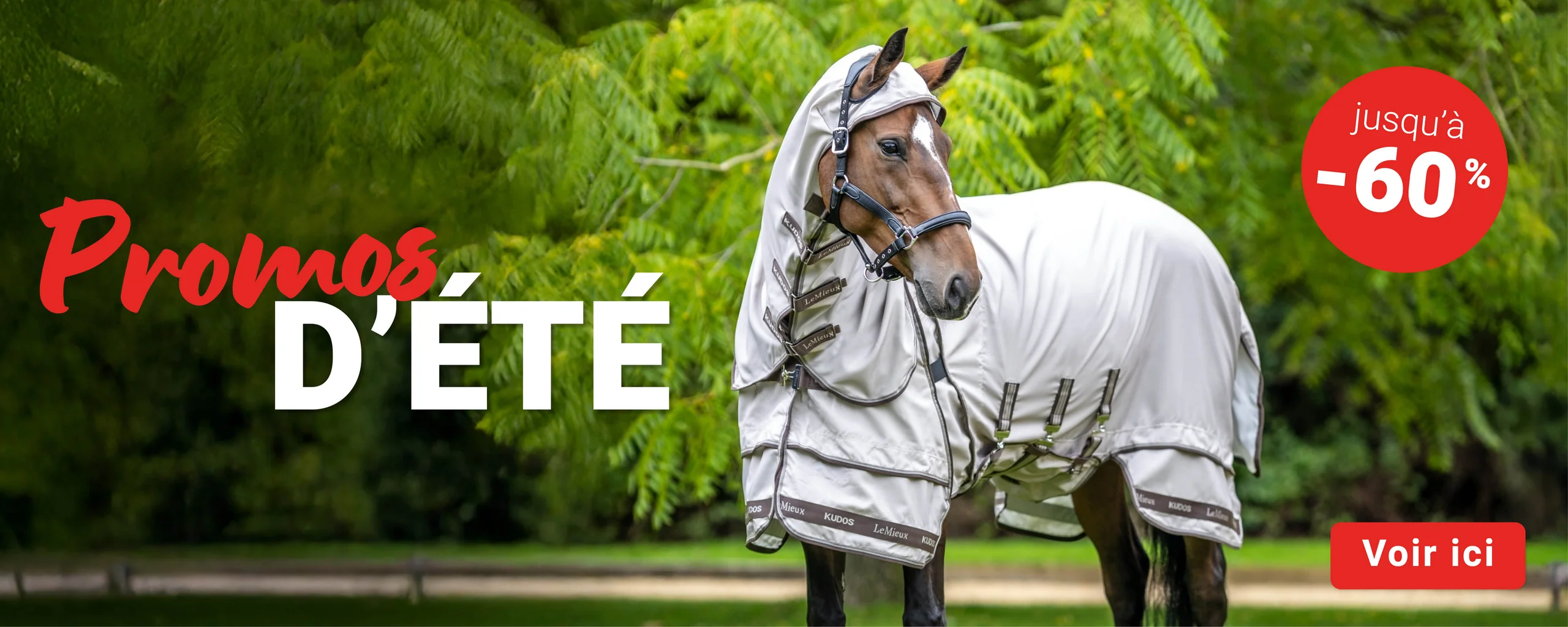 L'élégance équestre à prix réduit