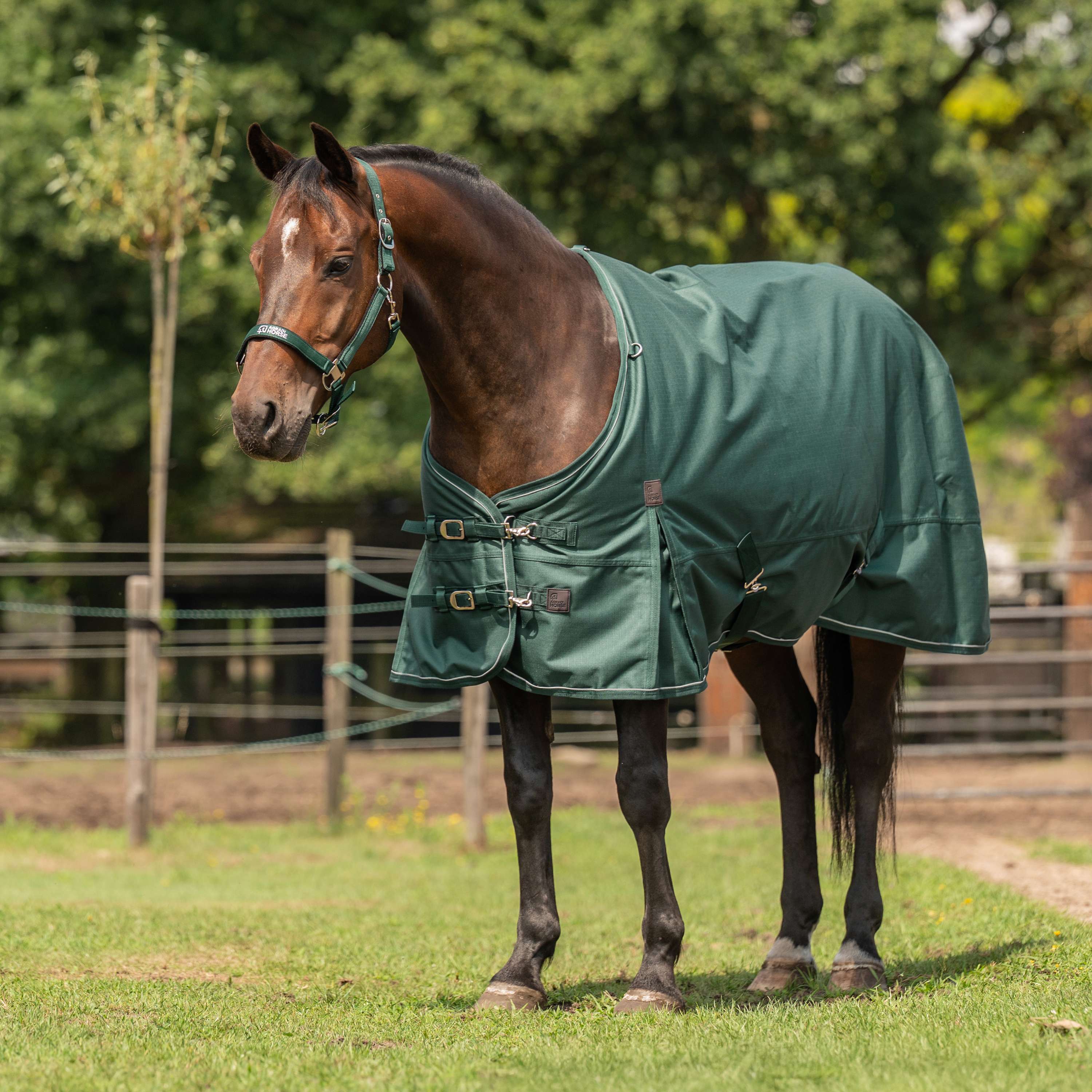 Agradi Horse Couverture d'Extérieur 1200D 0gr Bande Réfléchissante Vert