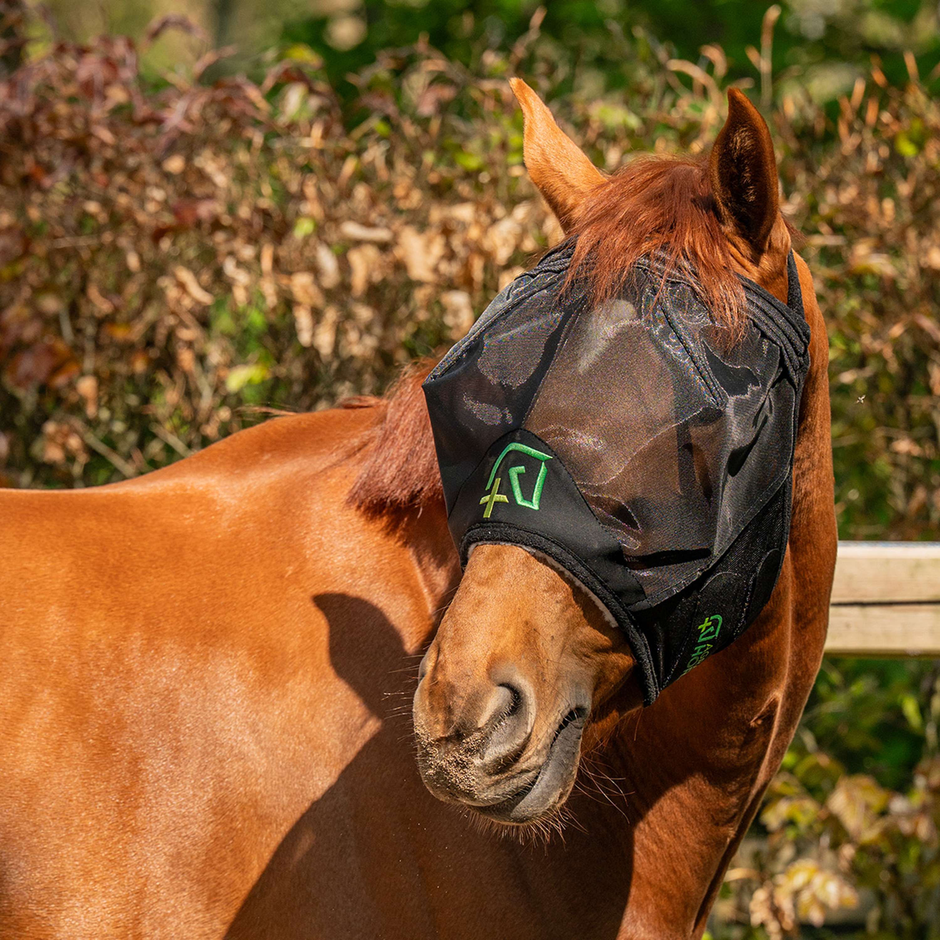 Agradi Horse Masque Anti-Mouches Fine Mesh sans Oreilles Noir - Image 3