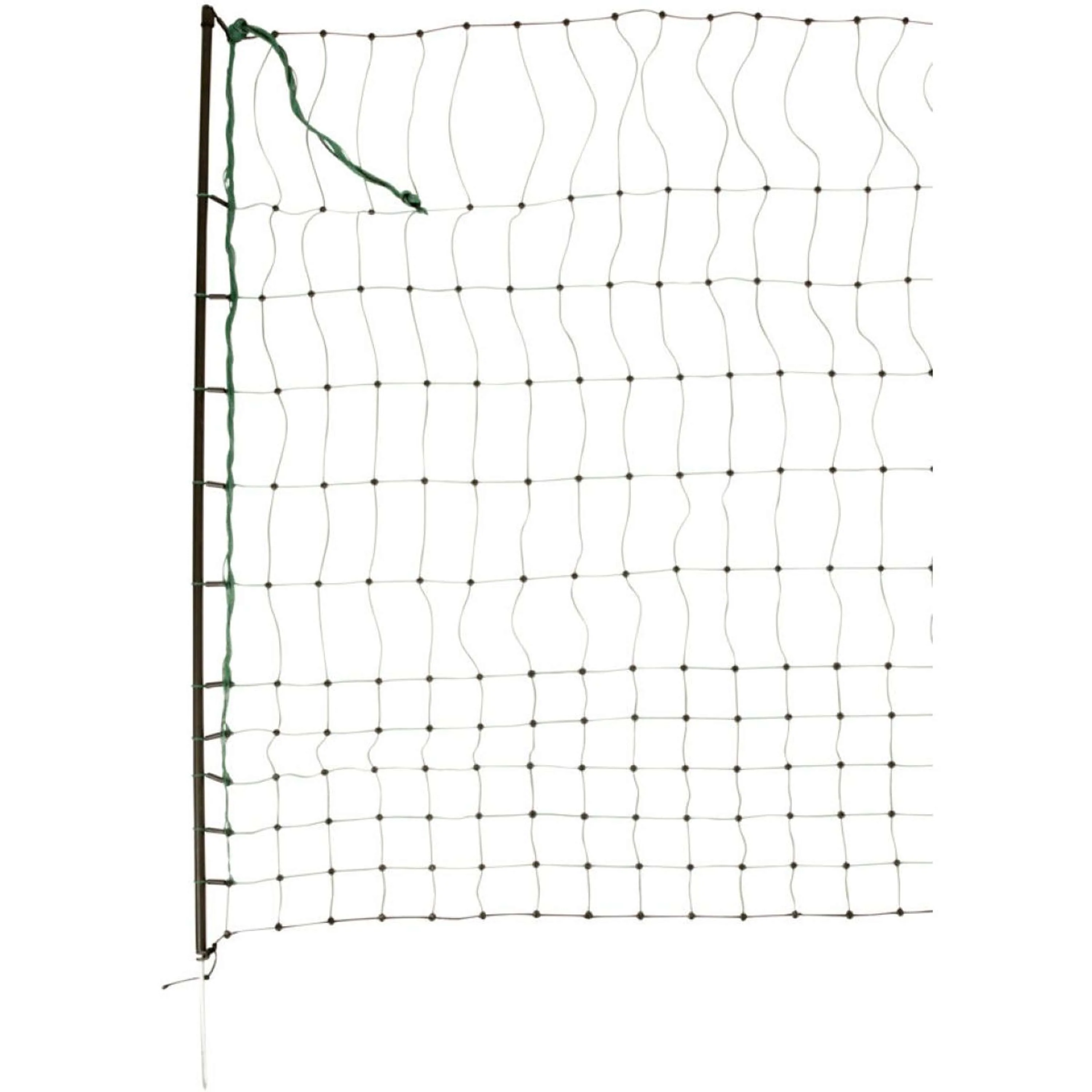 Ako Filet Volaille Simple Pointe Vert