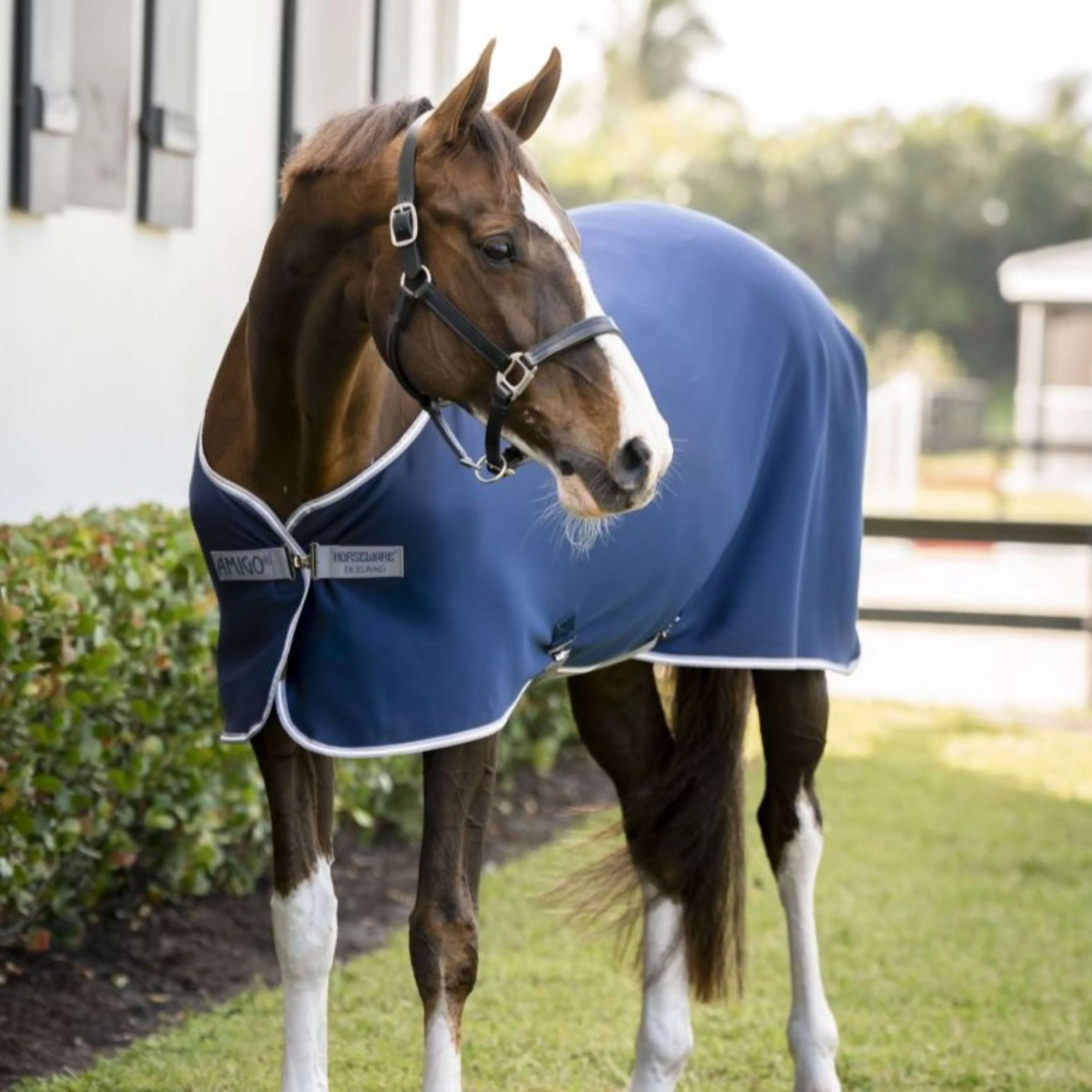 Amigo Chemise Rafraîchissante Jersey Poney Marine/Gris Titane/Argent - Image 10