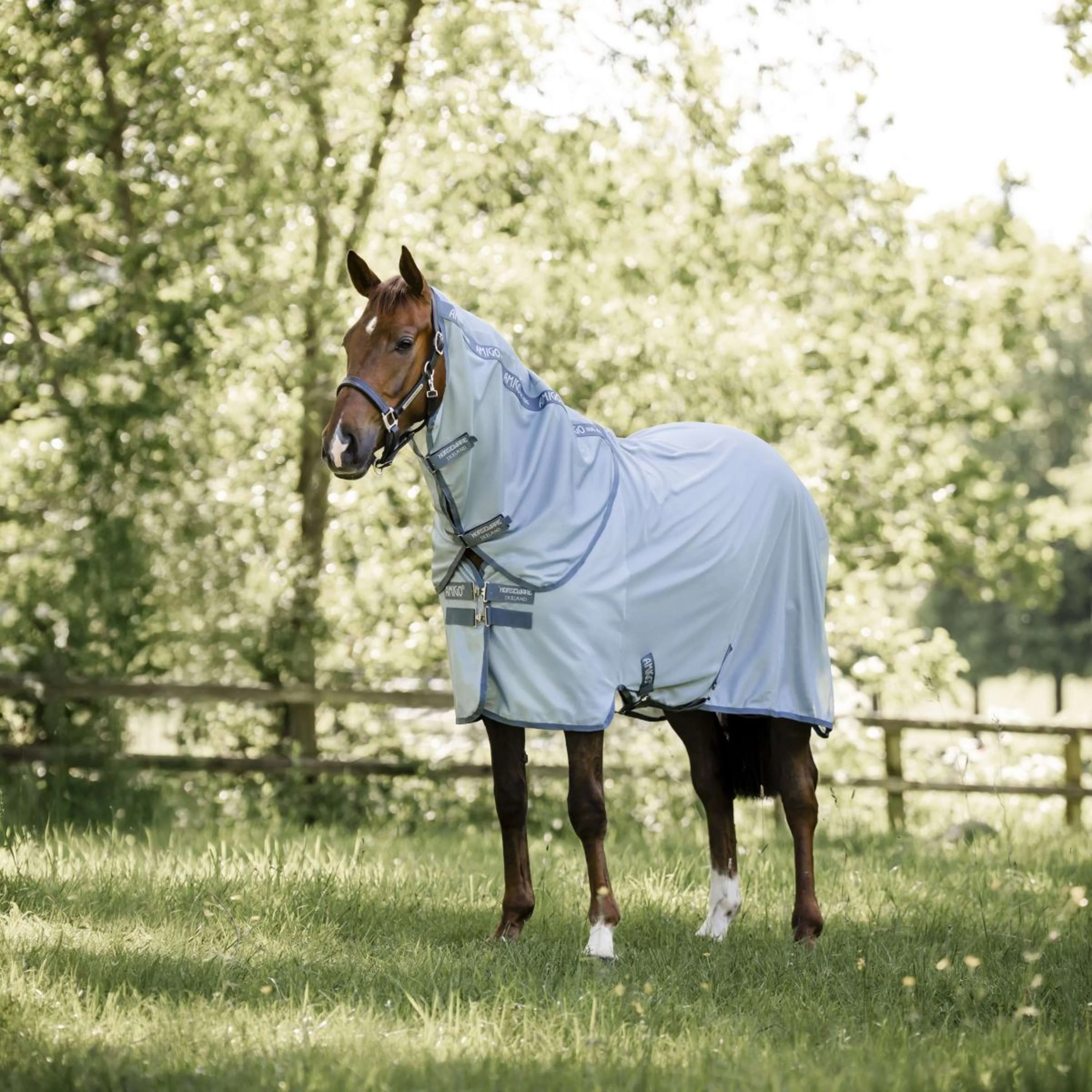 Amigo Couverture Anti-Mouches Plus Heather Blue/Blue/Silver