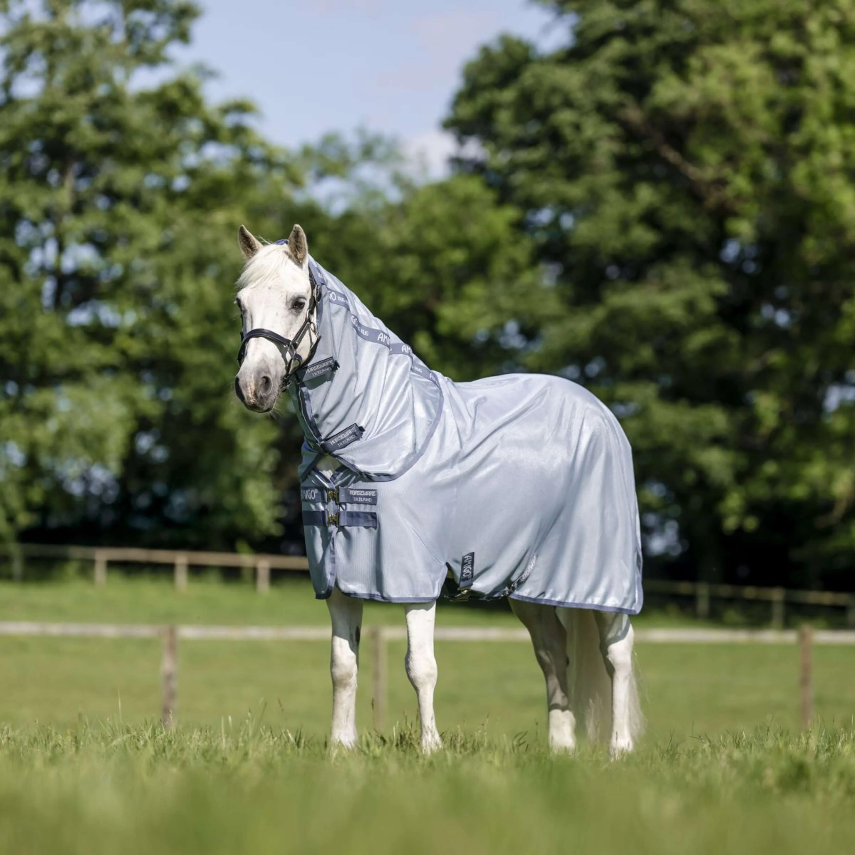 Amigo Couverture Anti-Mouches Plus Pony Heather Blue/Blue/Silver