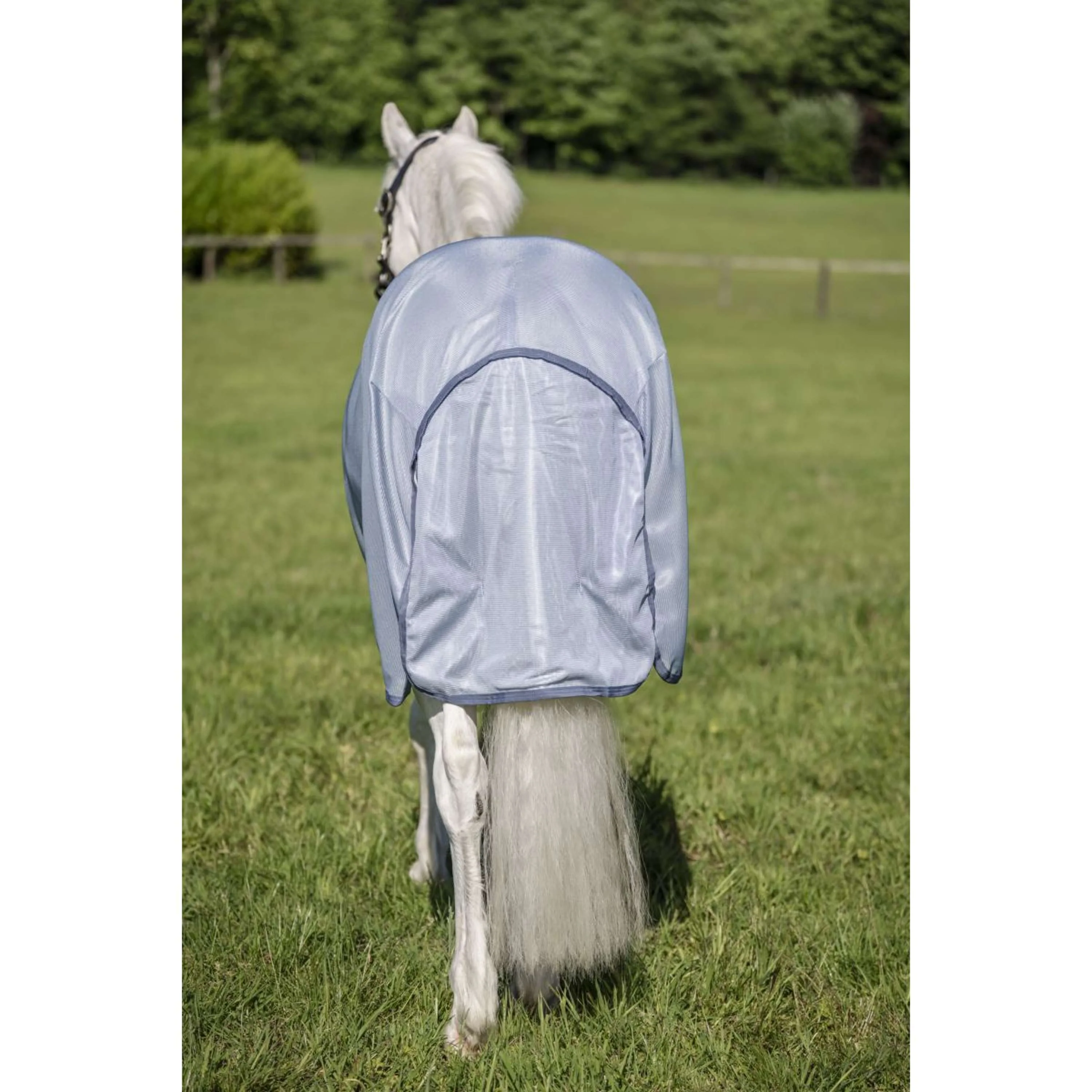 Amigo Couverture Anti-Mouches Plus Pony Heather Blue/Blue/Silver - Image 6
