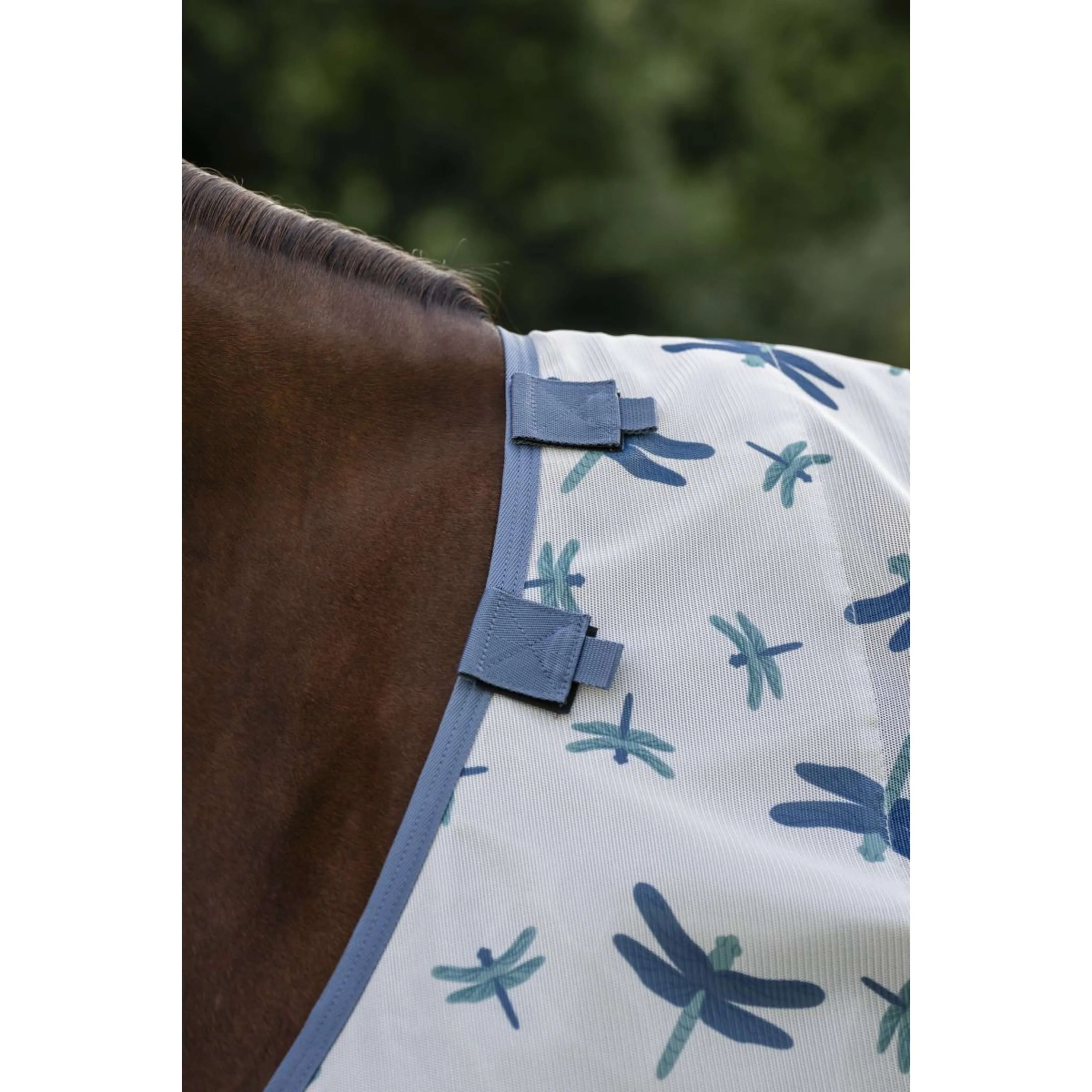 Amigo Couverture Anti-Mouches Pony Dragonfly Print/Silver/Blue/Sage - Image 4