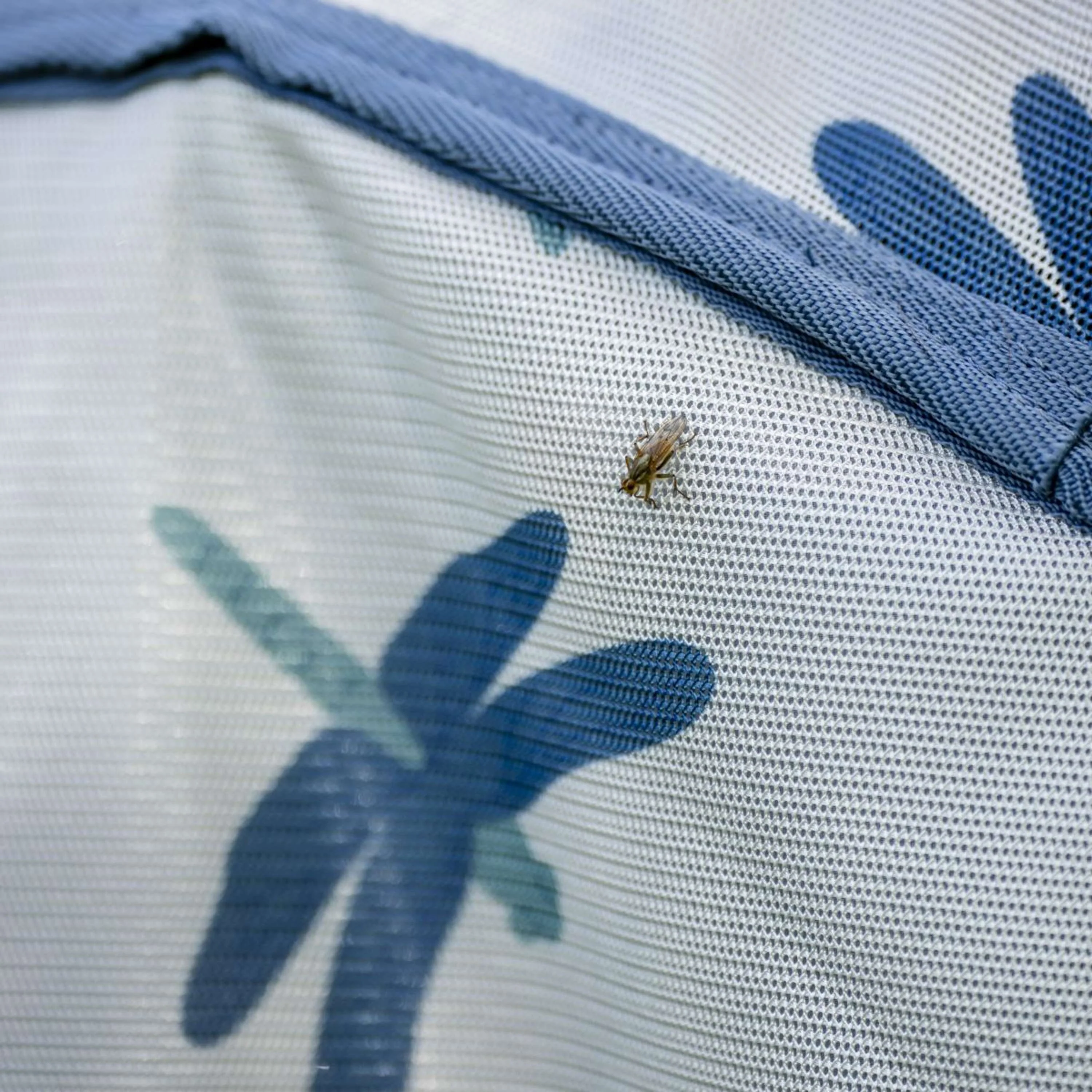 Amigo Couverture Anti-Mouches Pony Dragonfly Print/Silver/Blue/Sage - Image 8