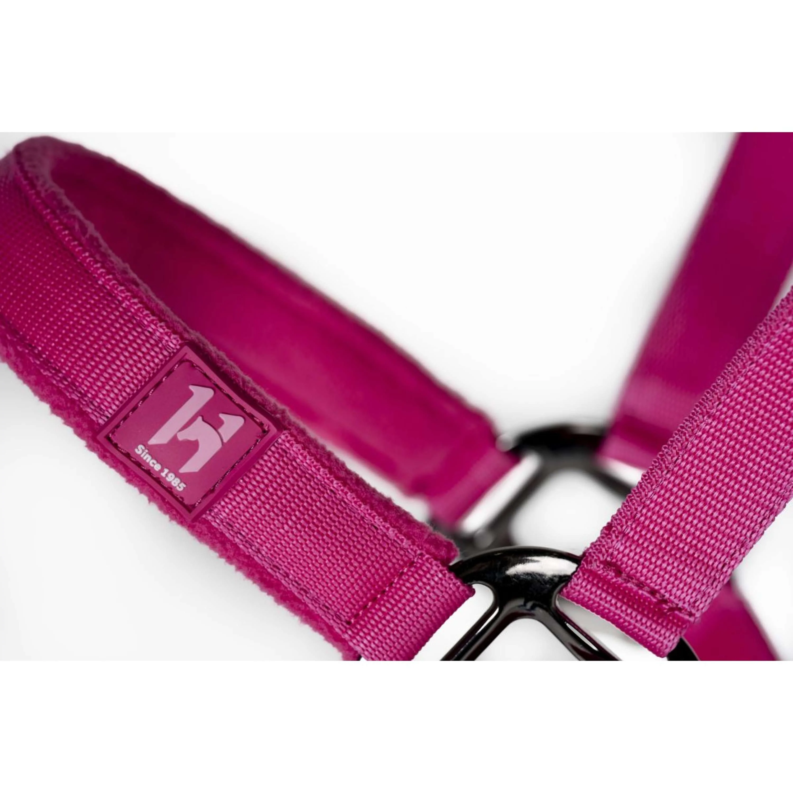 Amigo Licol et Longe Newmarket Witney Pink - Image 4