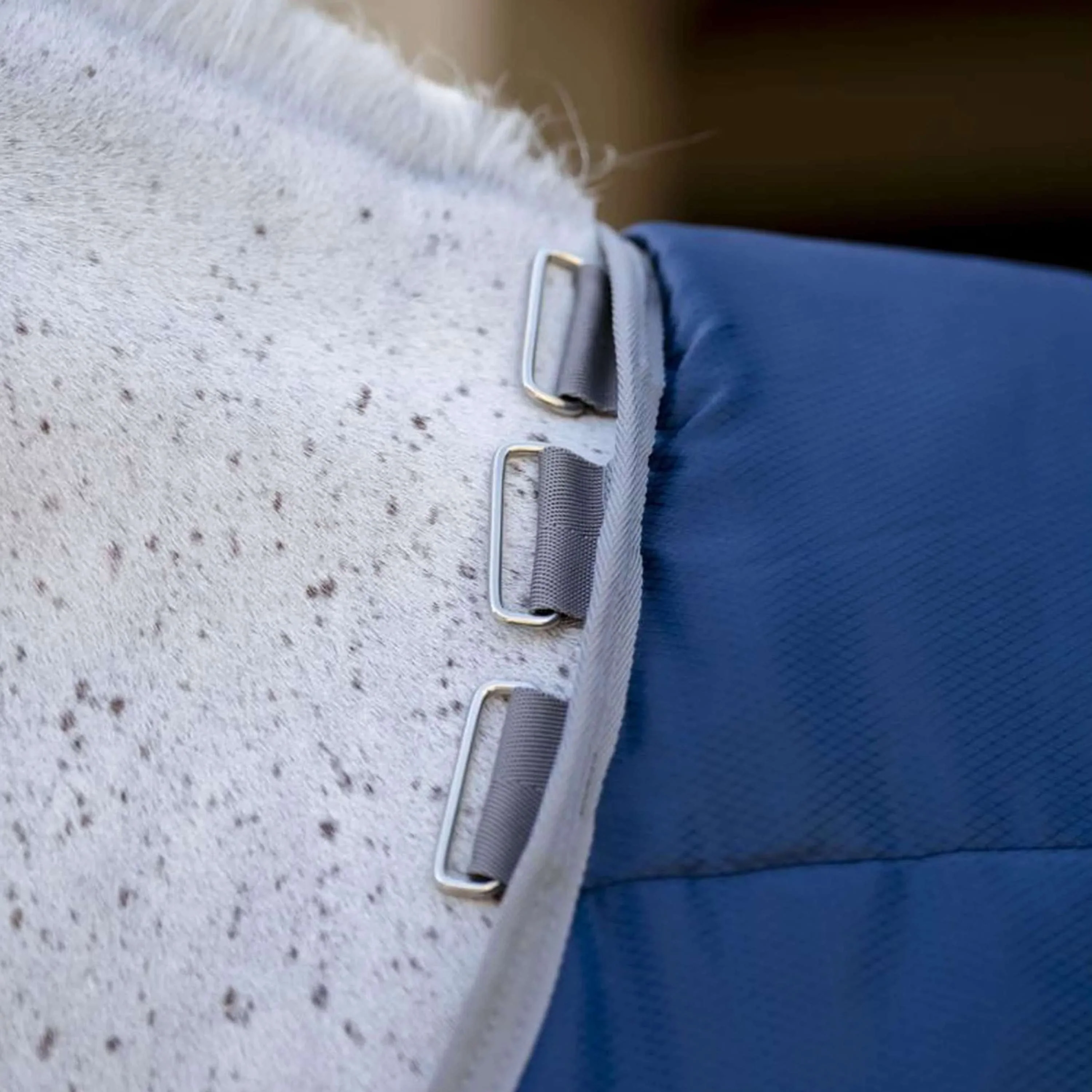 Amigo Ripstop Insulator Plus Pony Stable 200g Navy/Titanium Grey - Image 6