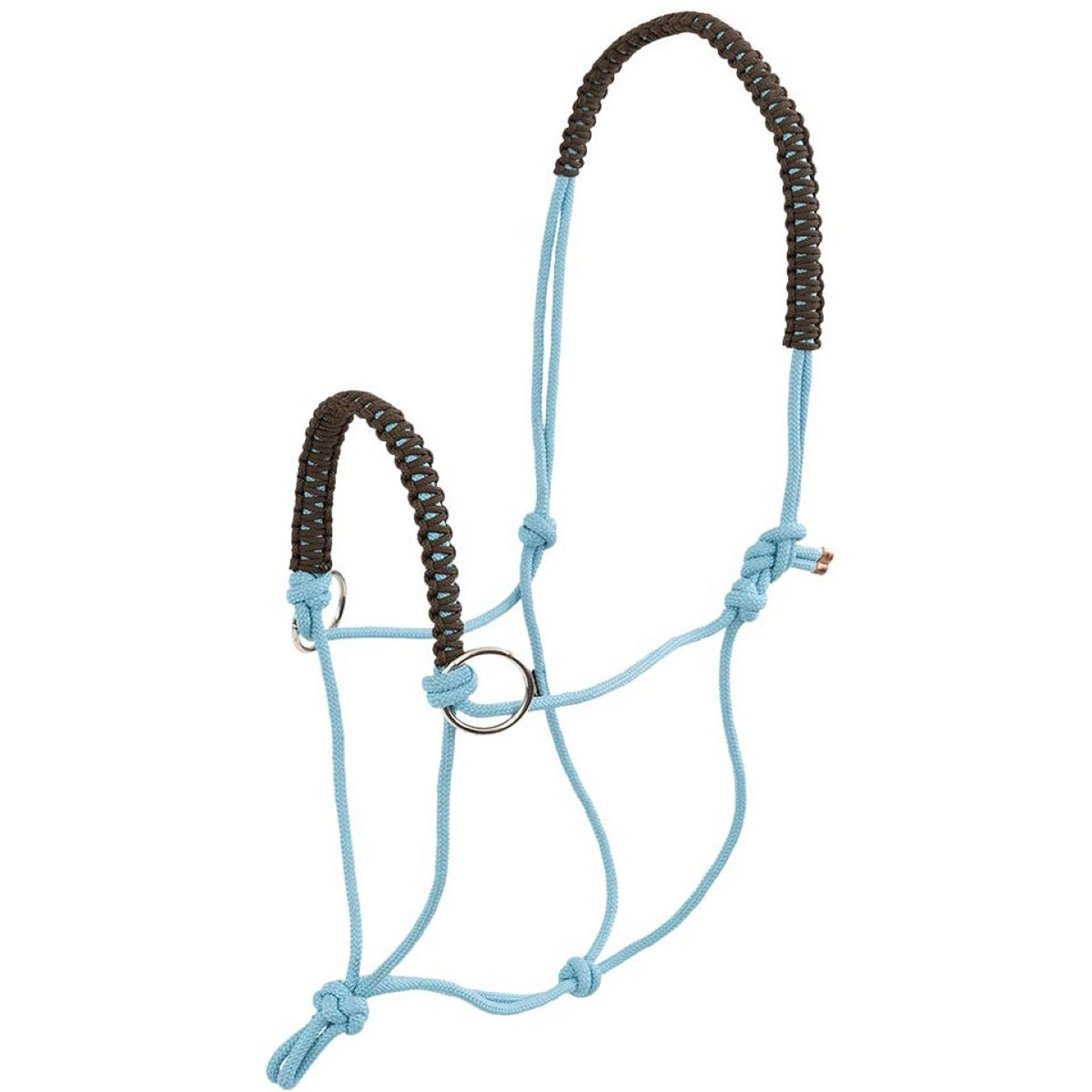 BR Set Licol et Longe Aquamarine - Image 2