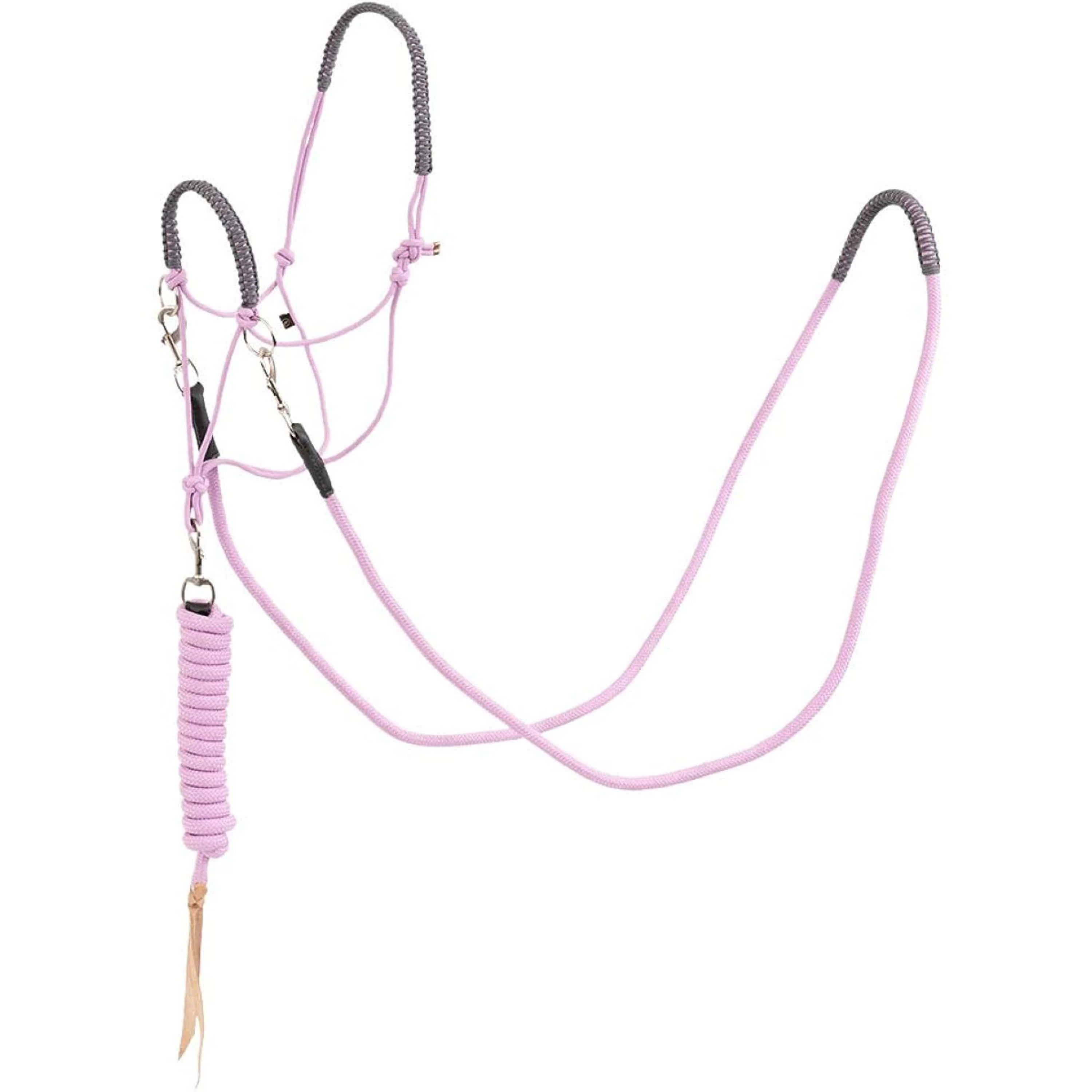 BR Set Licol et Longe Moonlite Mauve
