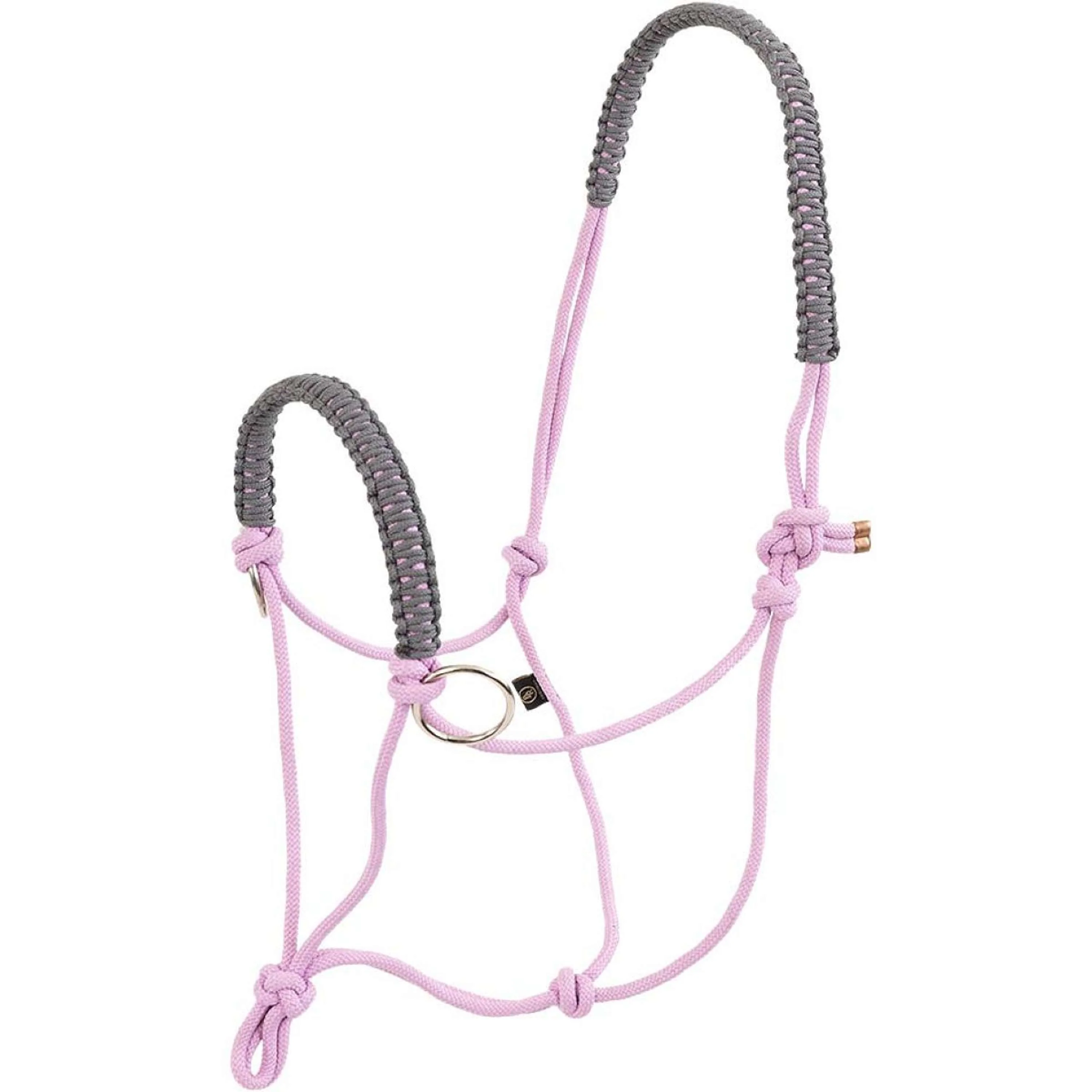 BR Set Licol et Longe Moonlite Mauve - Image 2