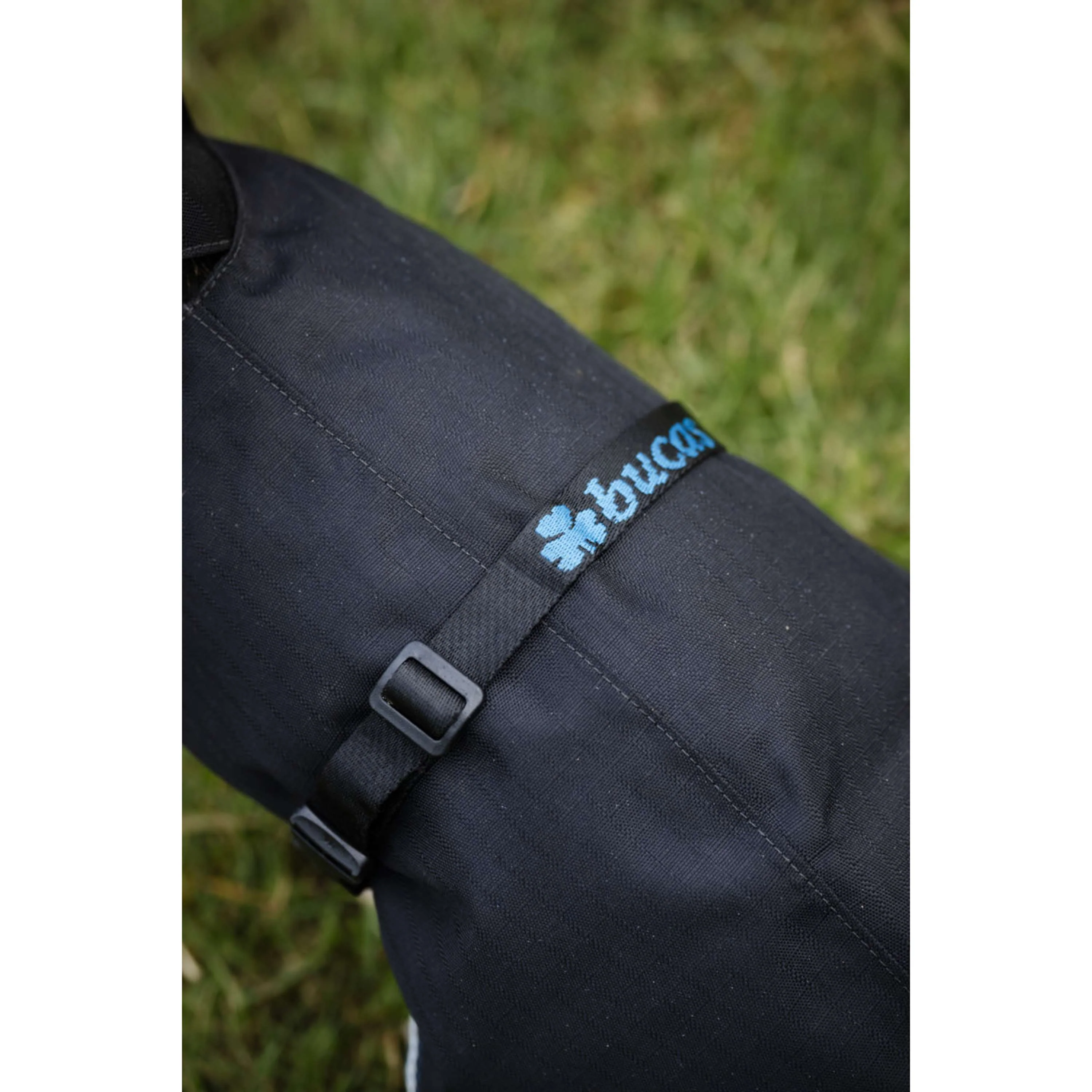 Bucas Anniversary Dog Rug Sapphire - Image 5