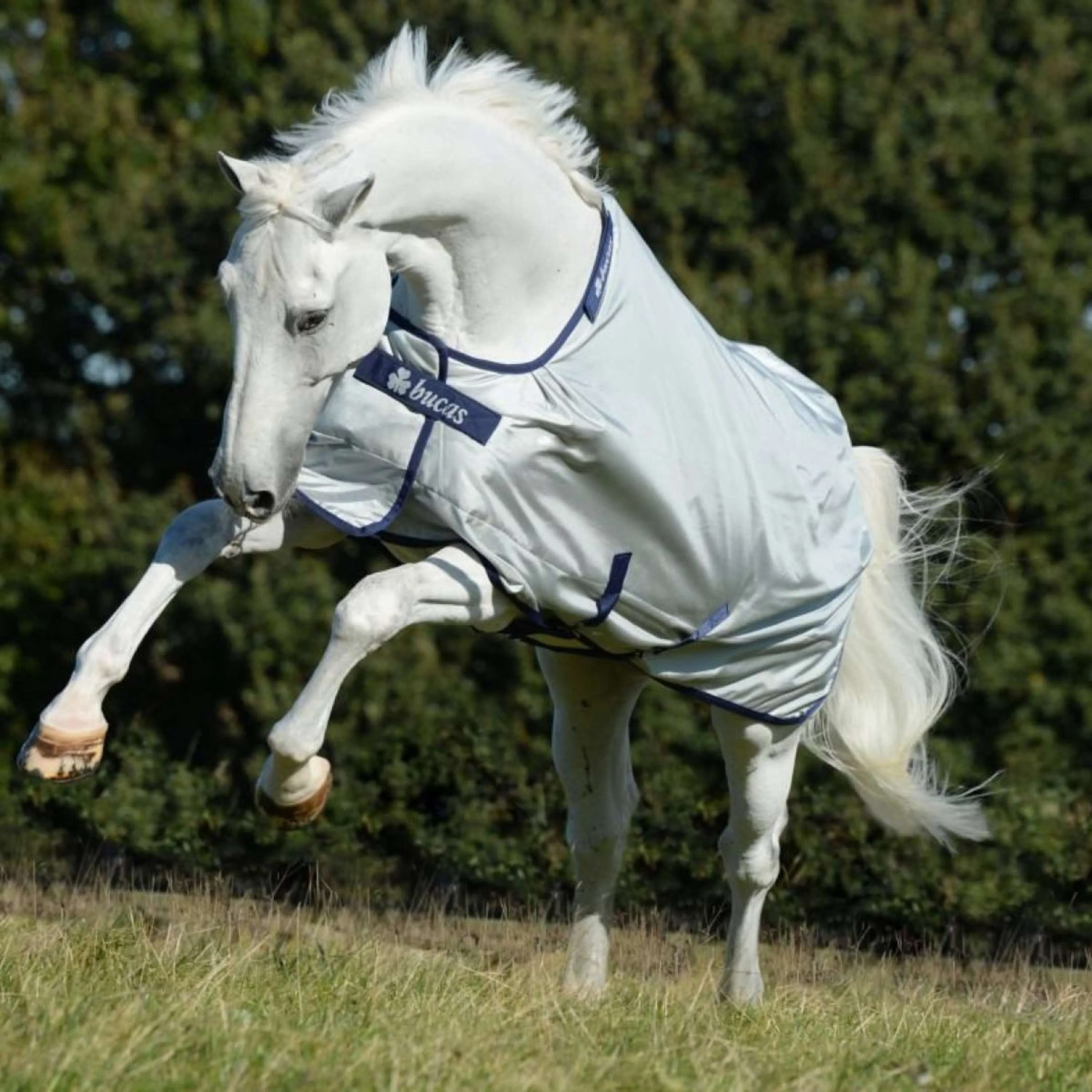 Bucas Turnout Power Medium 150g Argent - Image 2