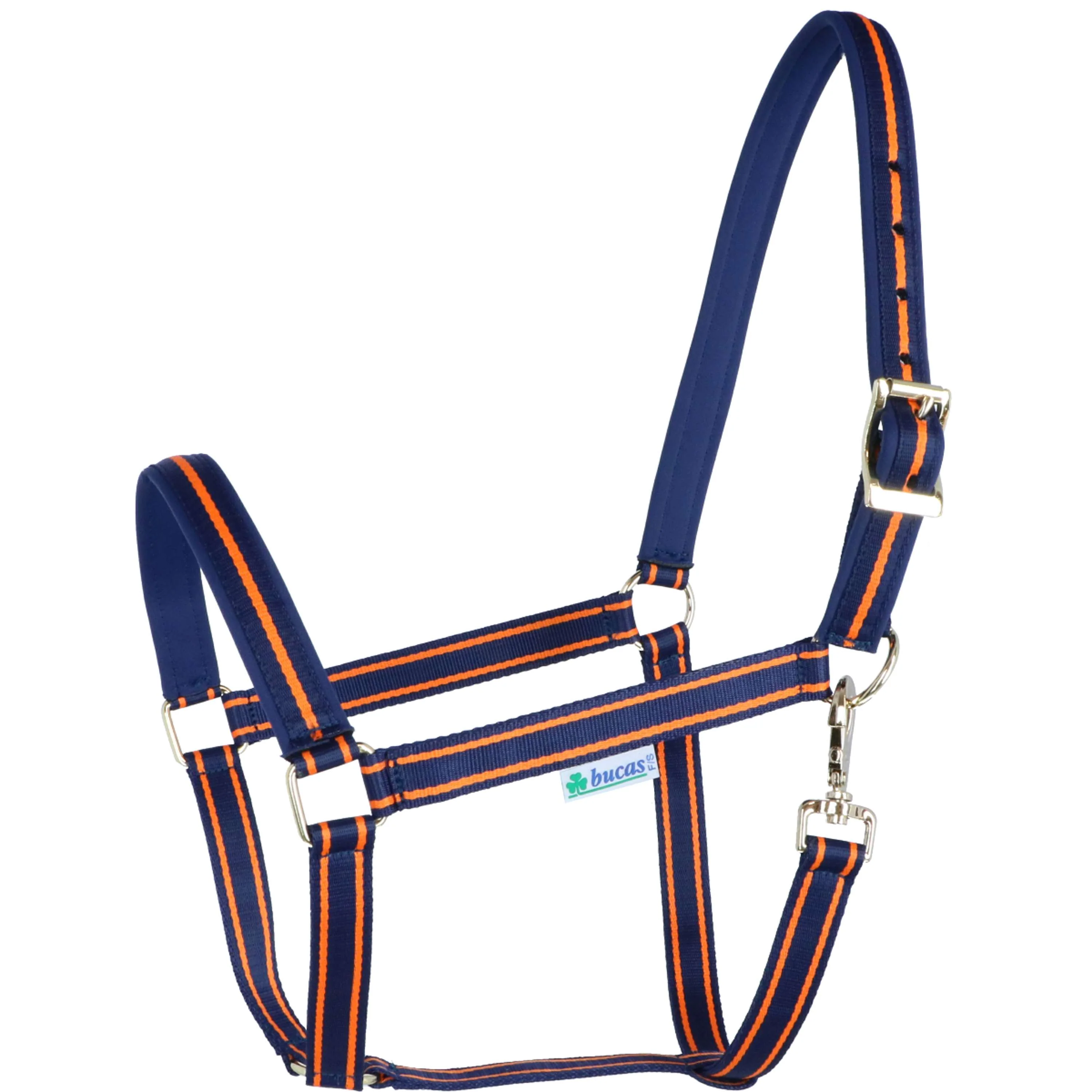 Bucas Licol Dublin Bleu Marine/Orange