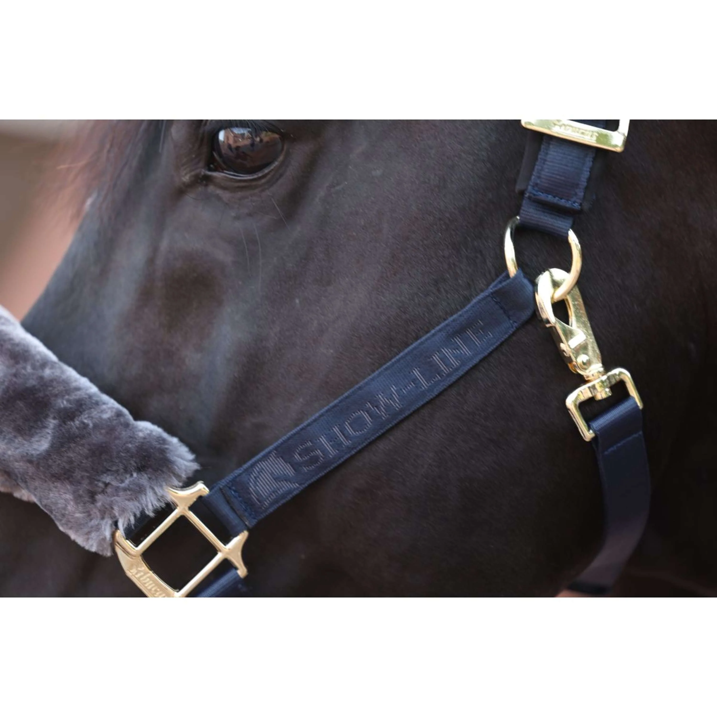 Bucas Licol Show-Line Marine/Gris