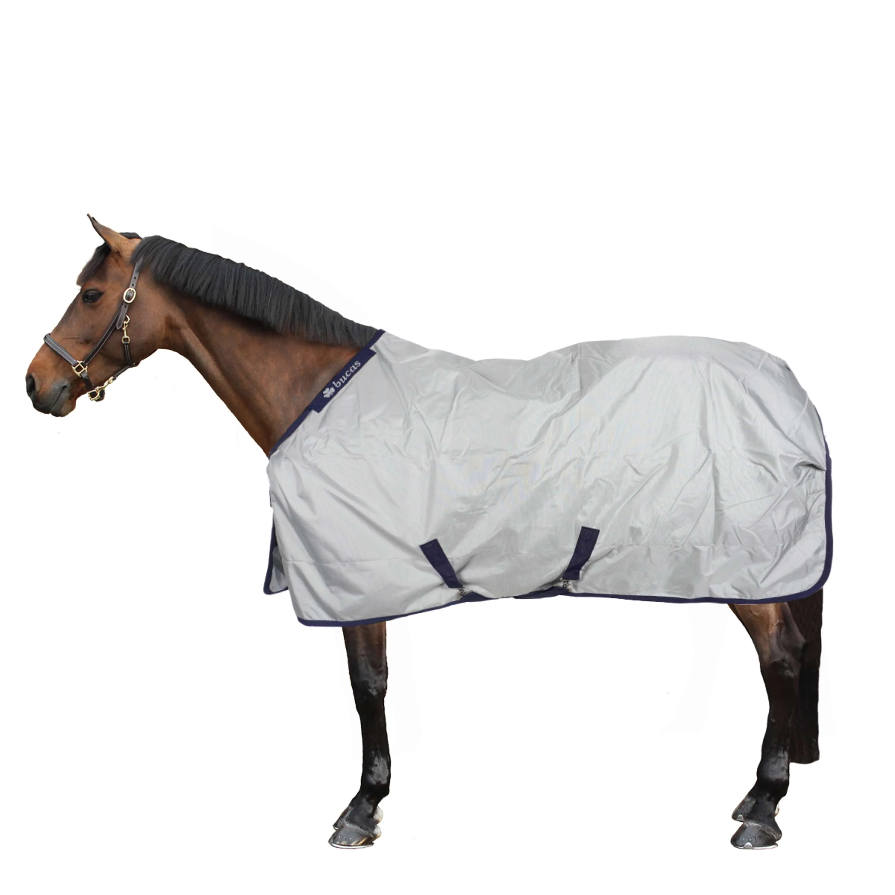 Bucas Power Turnout Light Big Neck 0g Argent - Image 2