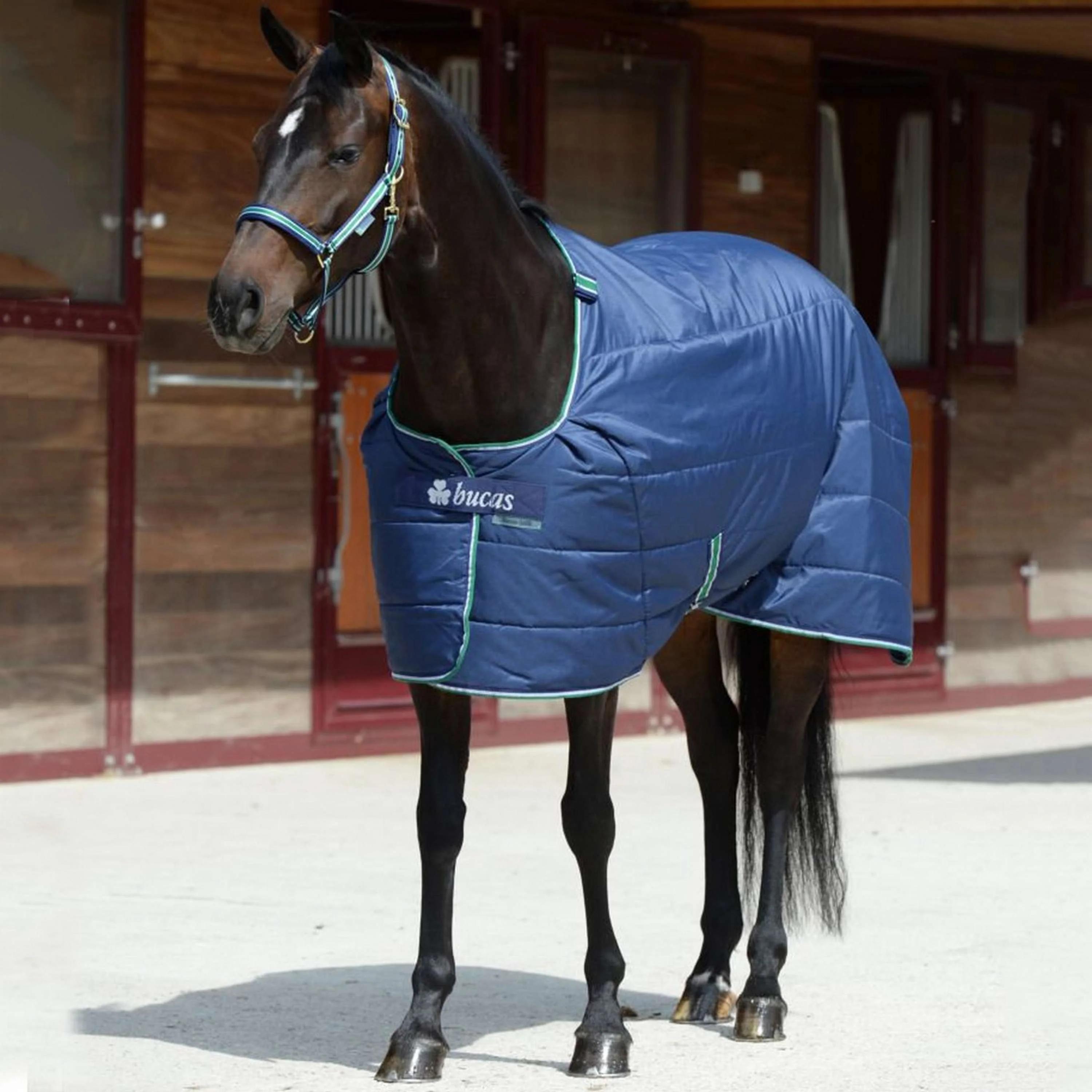 Bucas Quilt 300g SF Marin - Image 10