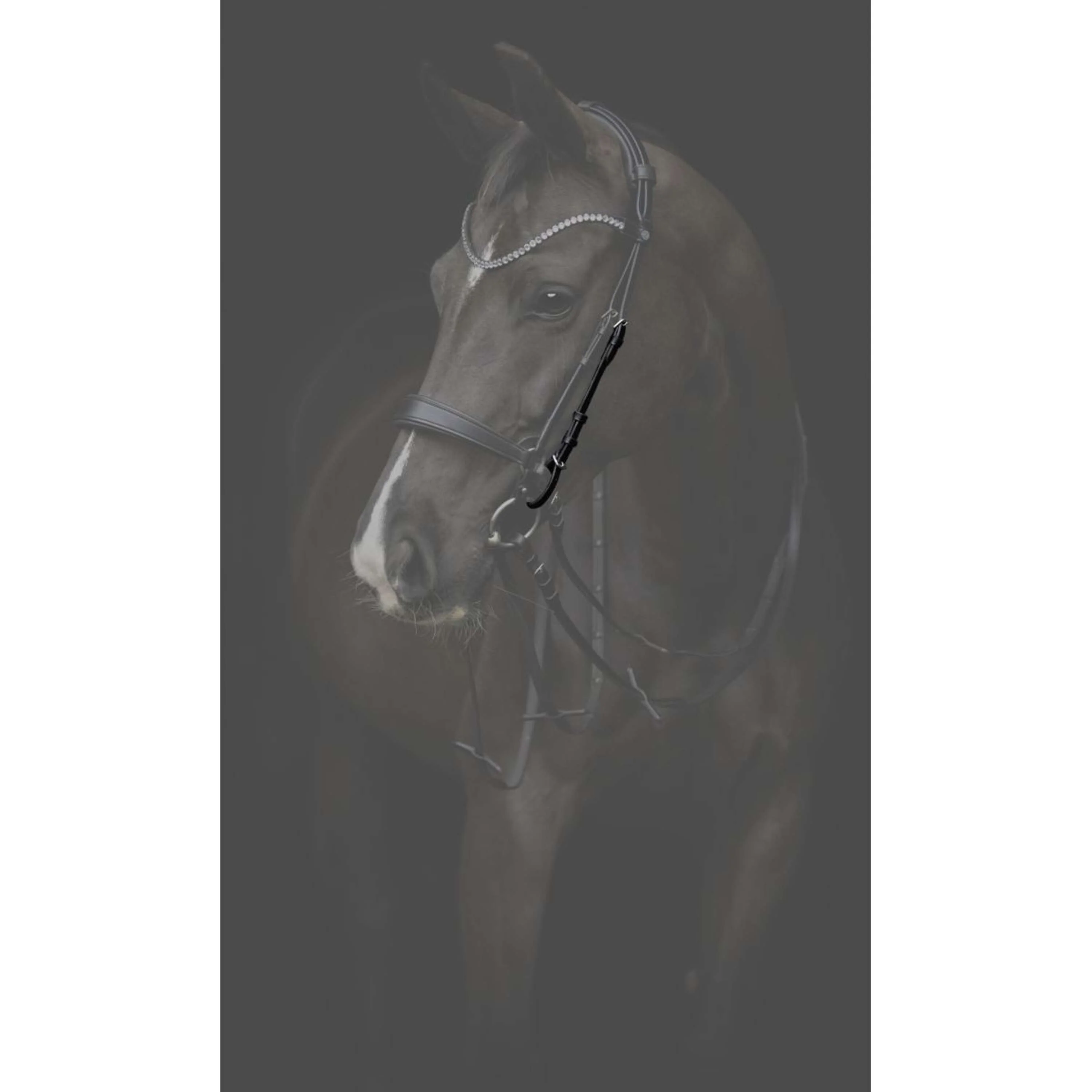 Catago Montants Gentle Marron - Image 2