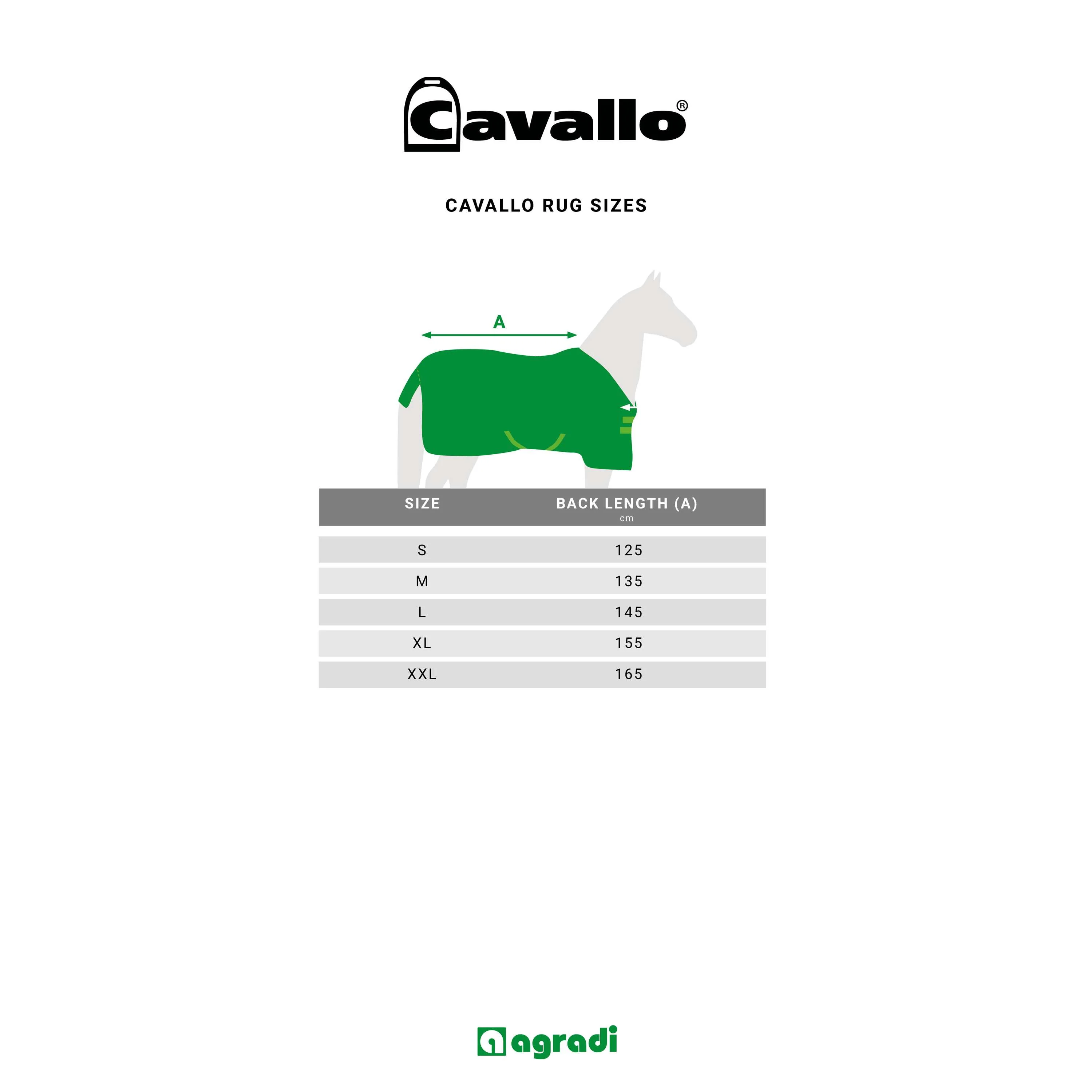 Cavallo Couverture Polaire CavalQuick Dry Cooler Soft Aqua - Image 3