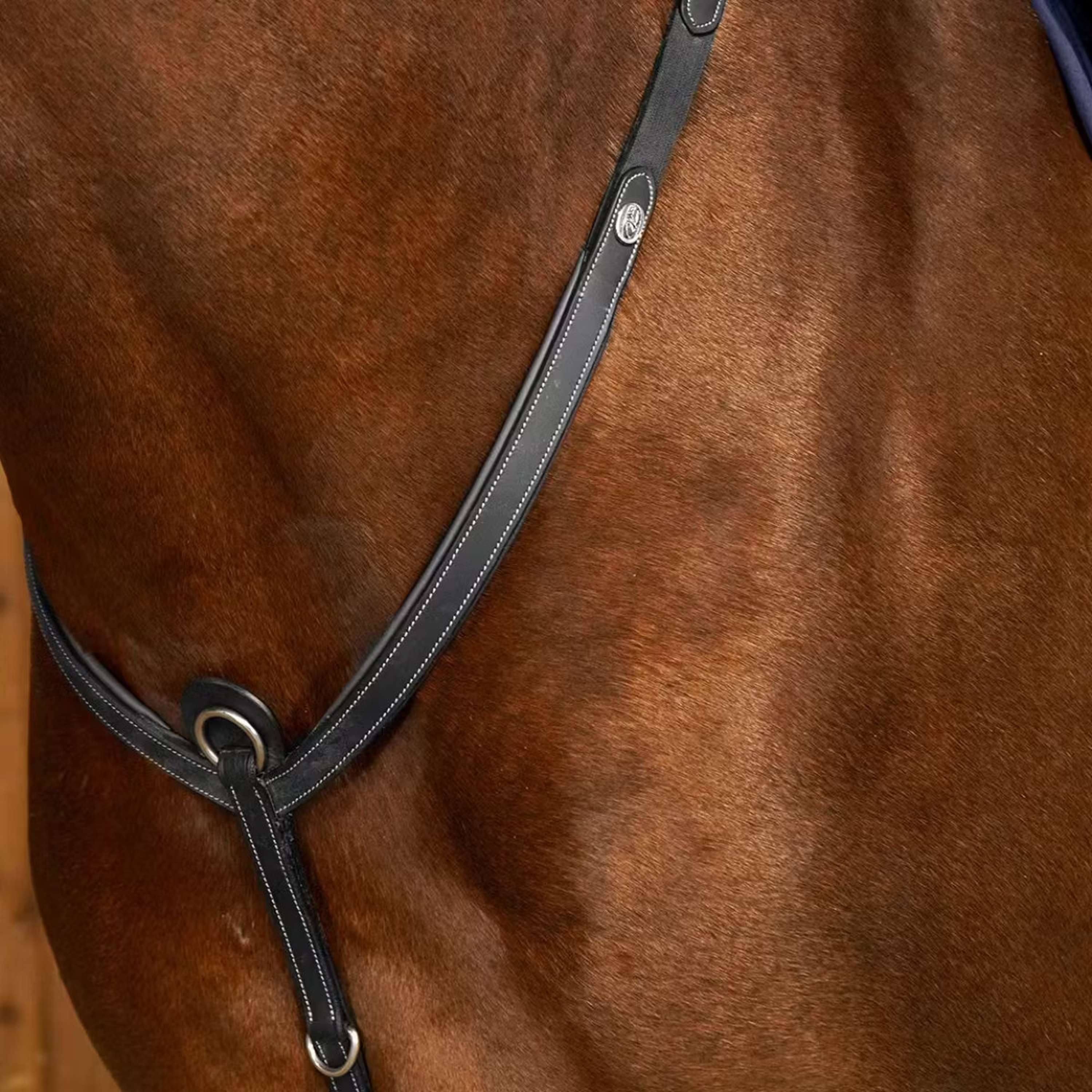 Dyon Martingale Working Breastplate Noir - Image 2