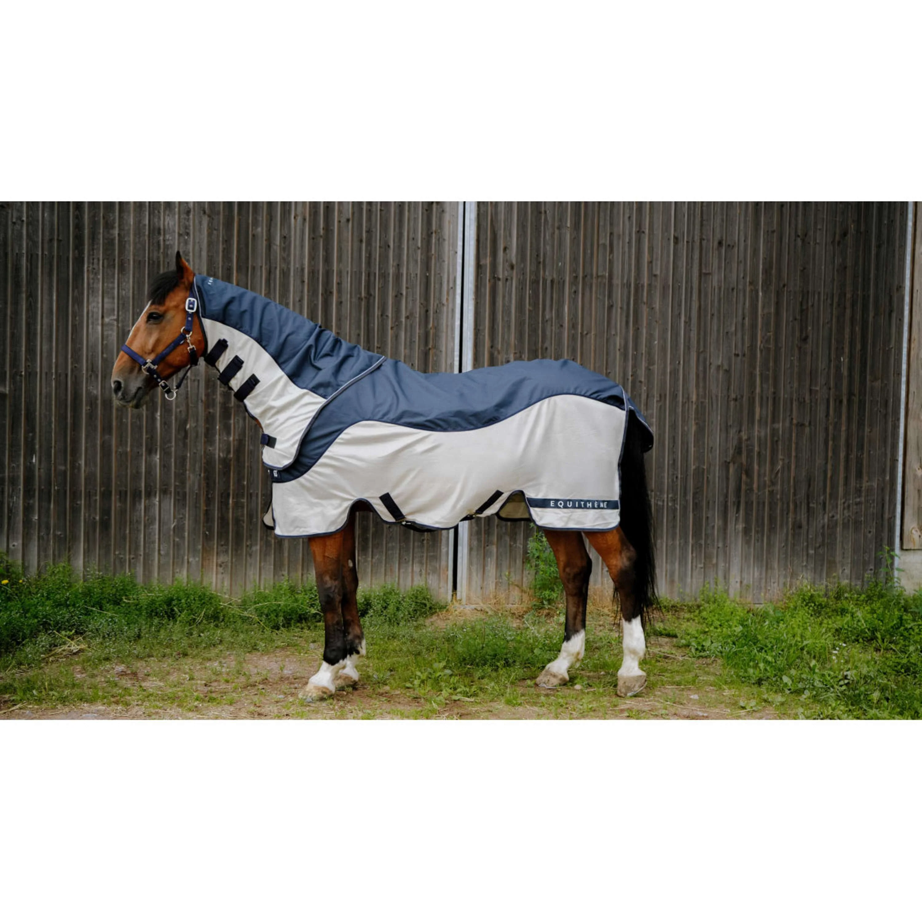 EQUITHÈME Couverture Anti-Mouches TYREX Combofly 600D avec Couvre-cou Navy Blue/Grey - Image 2