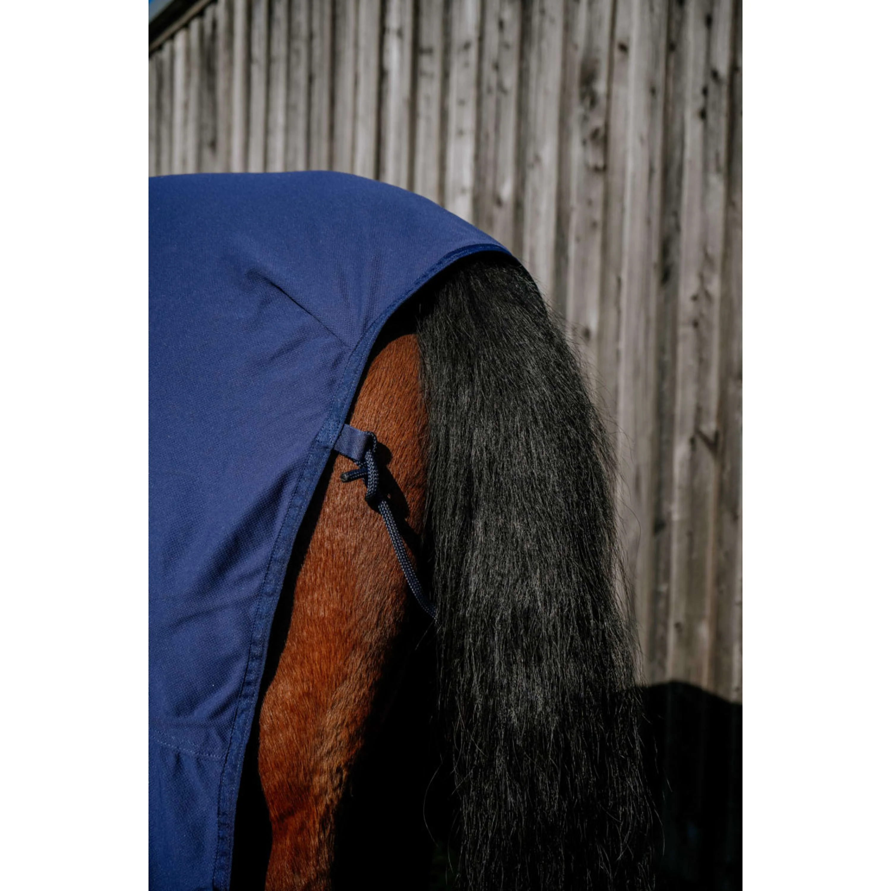 EQUITHÈME Couverture de Refroidissement Cool& Dry Fresh Combo Marine Bleu - Image 6