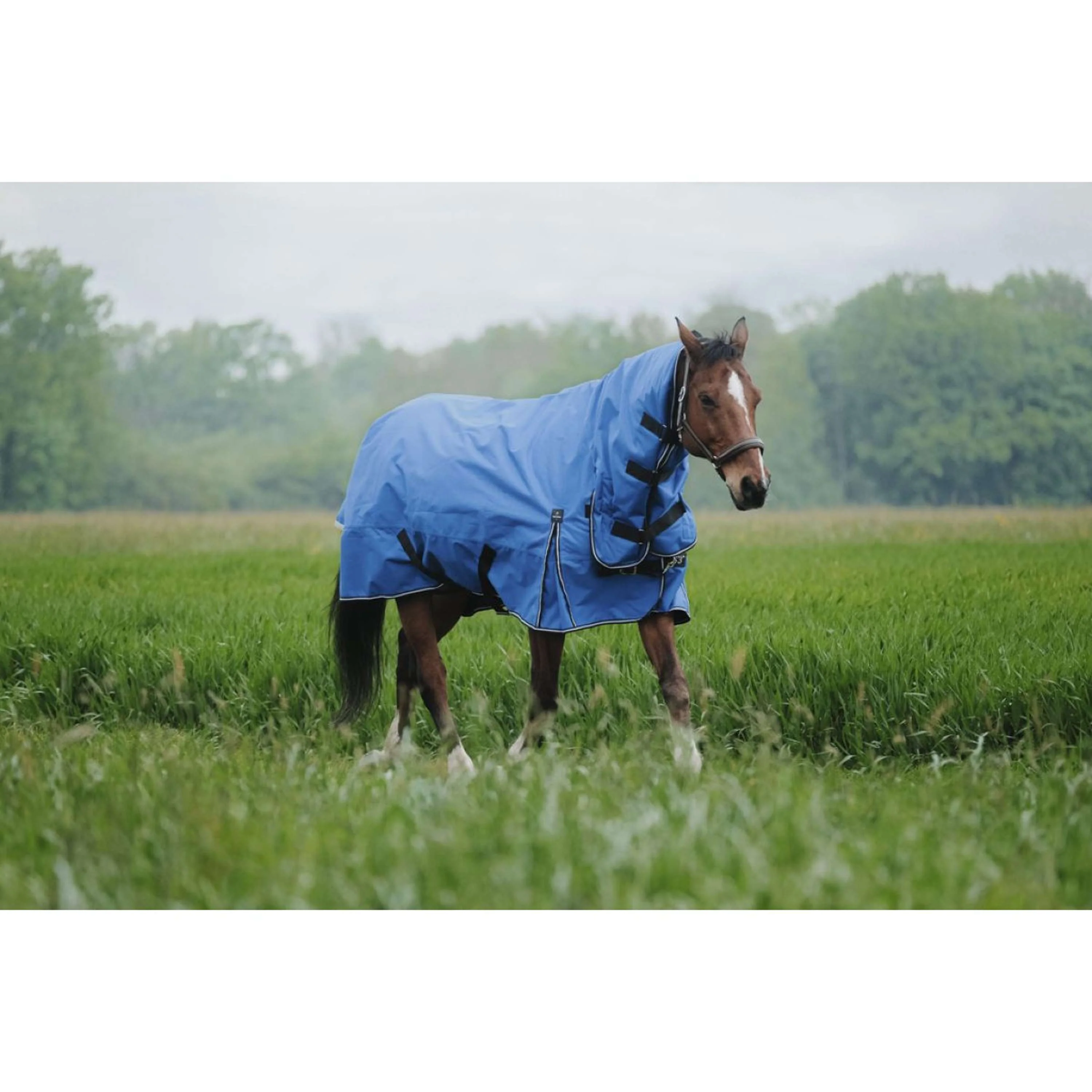 EQUITHÈME Couverture d'Extérieur Tyrex 1200D 100g Aisance Combo Bleu Royal - Image 3