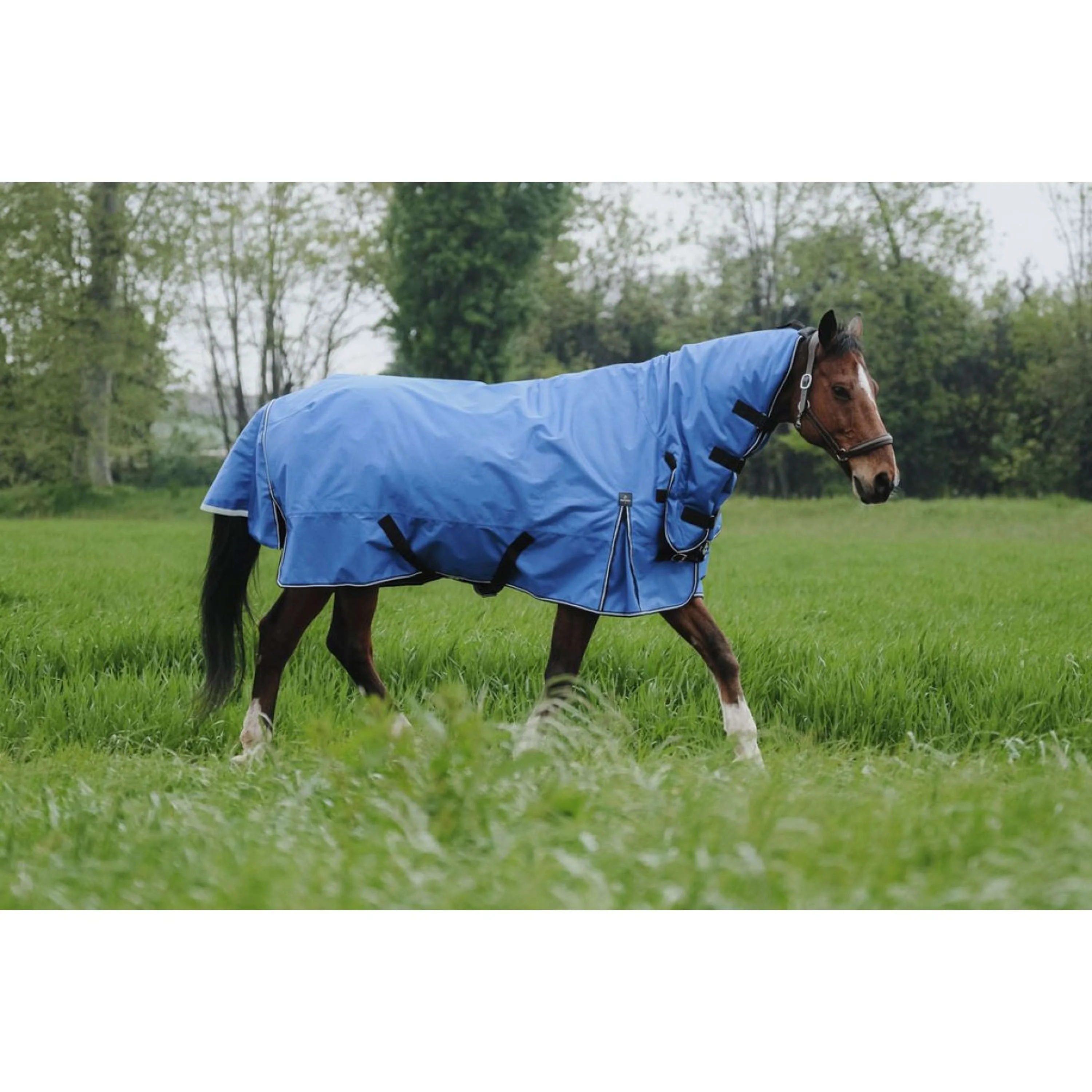 EQUITHÈME Couverture d'Extérieur Tyrex 1200D 300g Aisance Combo Bleu Royal - Image 2