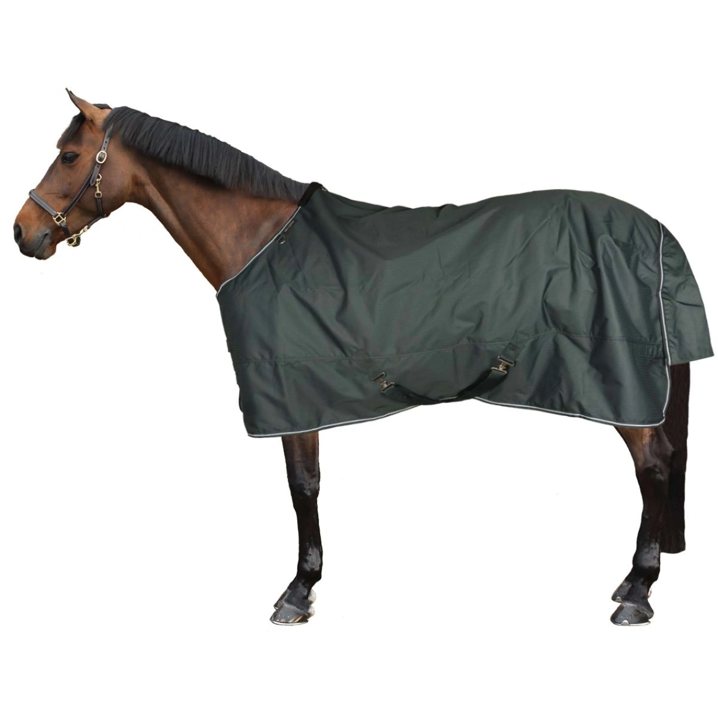 EQUITHÈME Couverture d'Extérieur Tyrex 600D Standard 150g Vert - Image 2