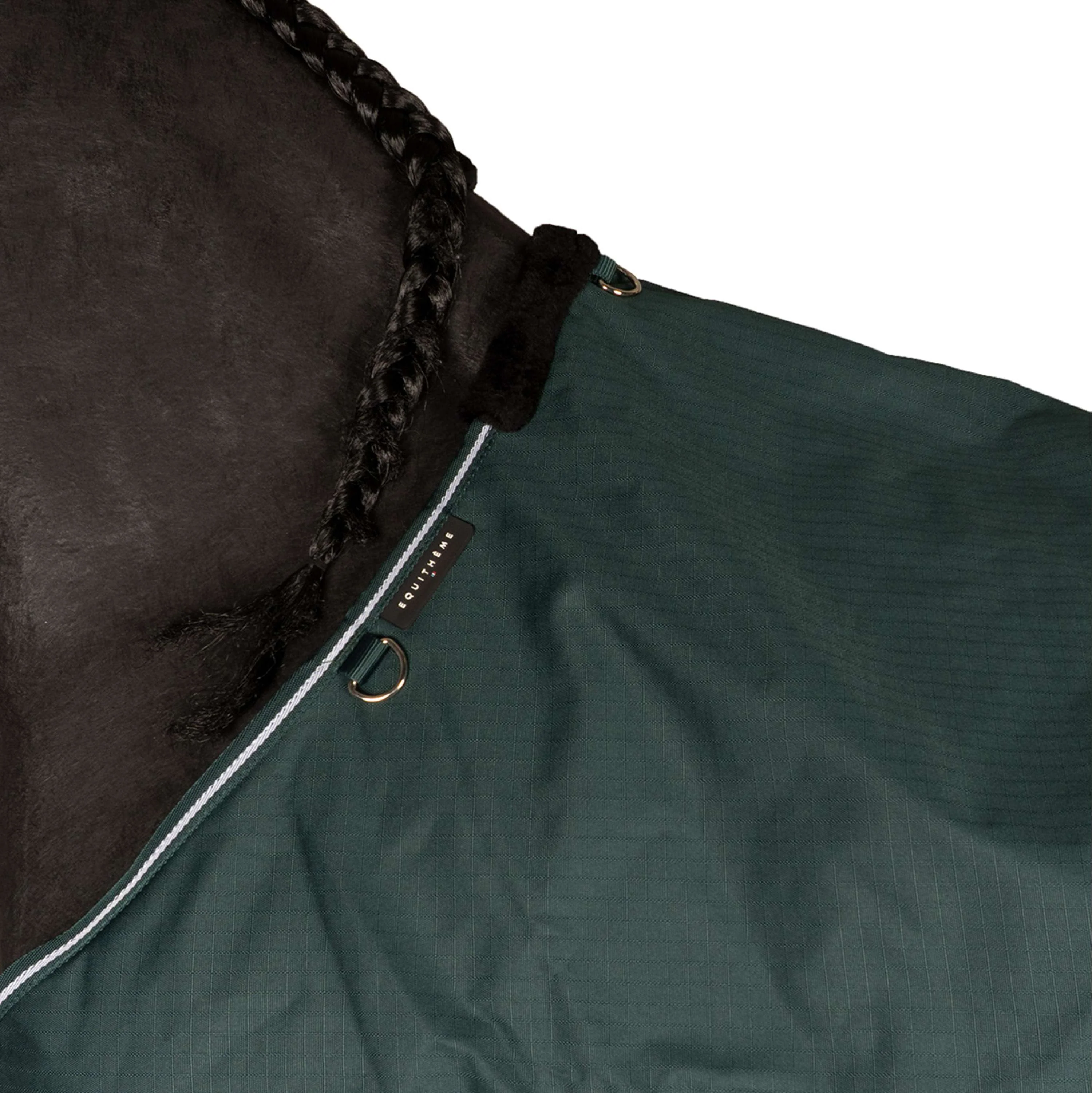 EQUITHÈME Couverture d'Extérieur Tyrex 600D Standard 150g Vert - Image 5