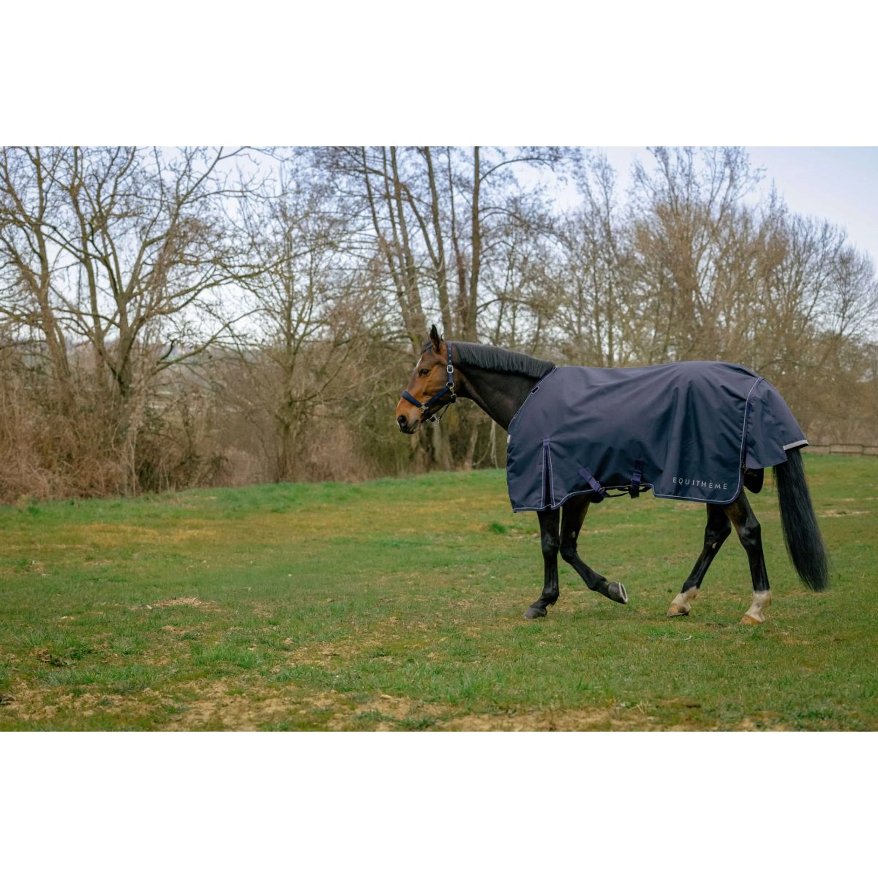 EQUITHÈME Couverture d'Extérieur Anatomic 1200D 100g Marin