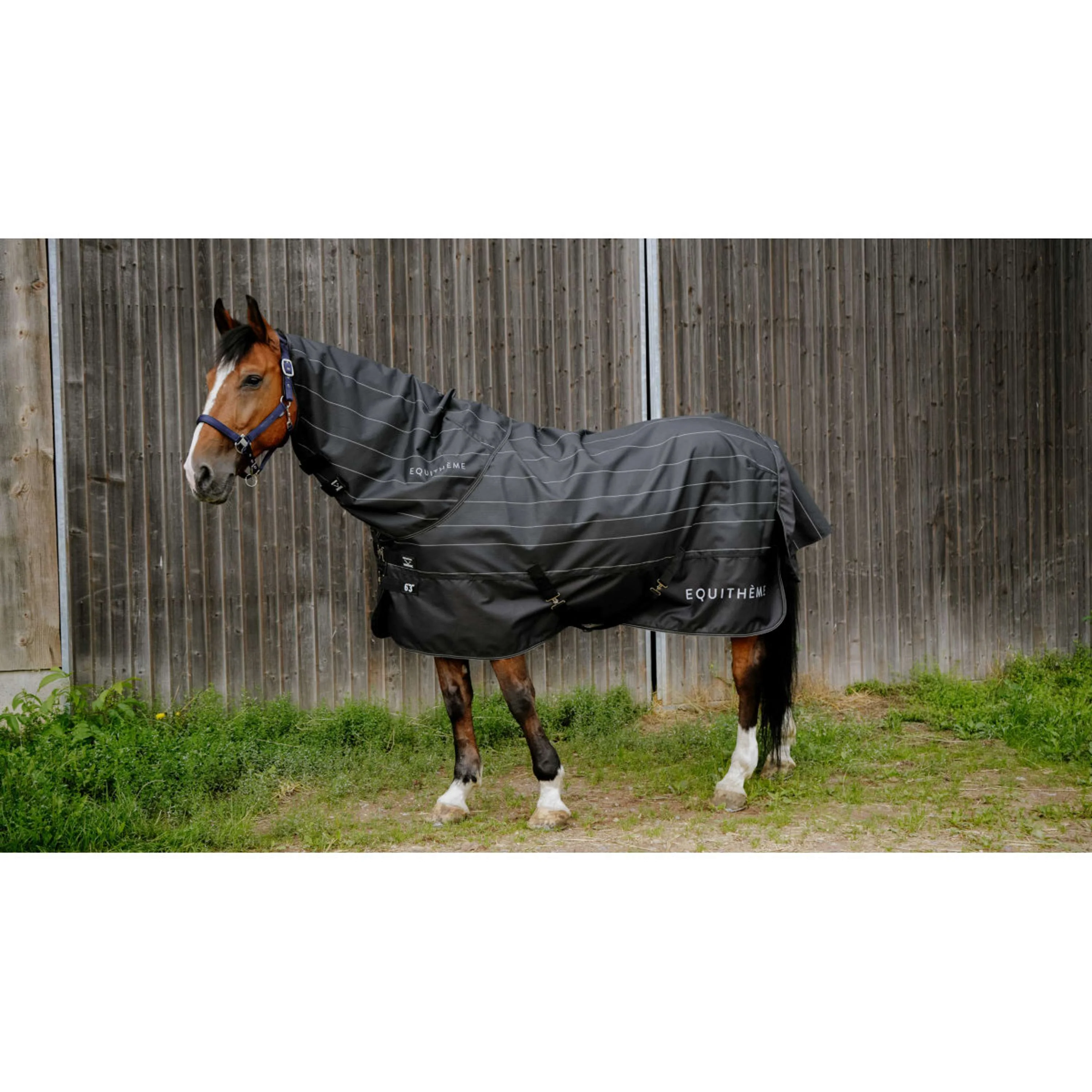 EQUITHÈME Couverture Imperméable TYREX Lumin 600D 0g Noir - Image 2
