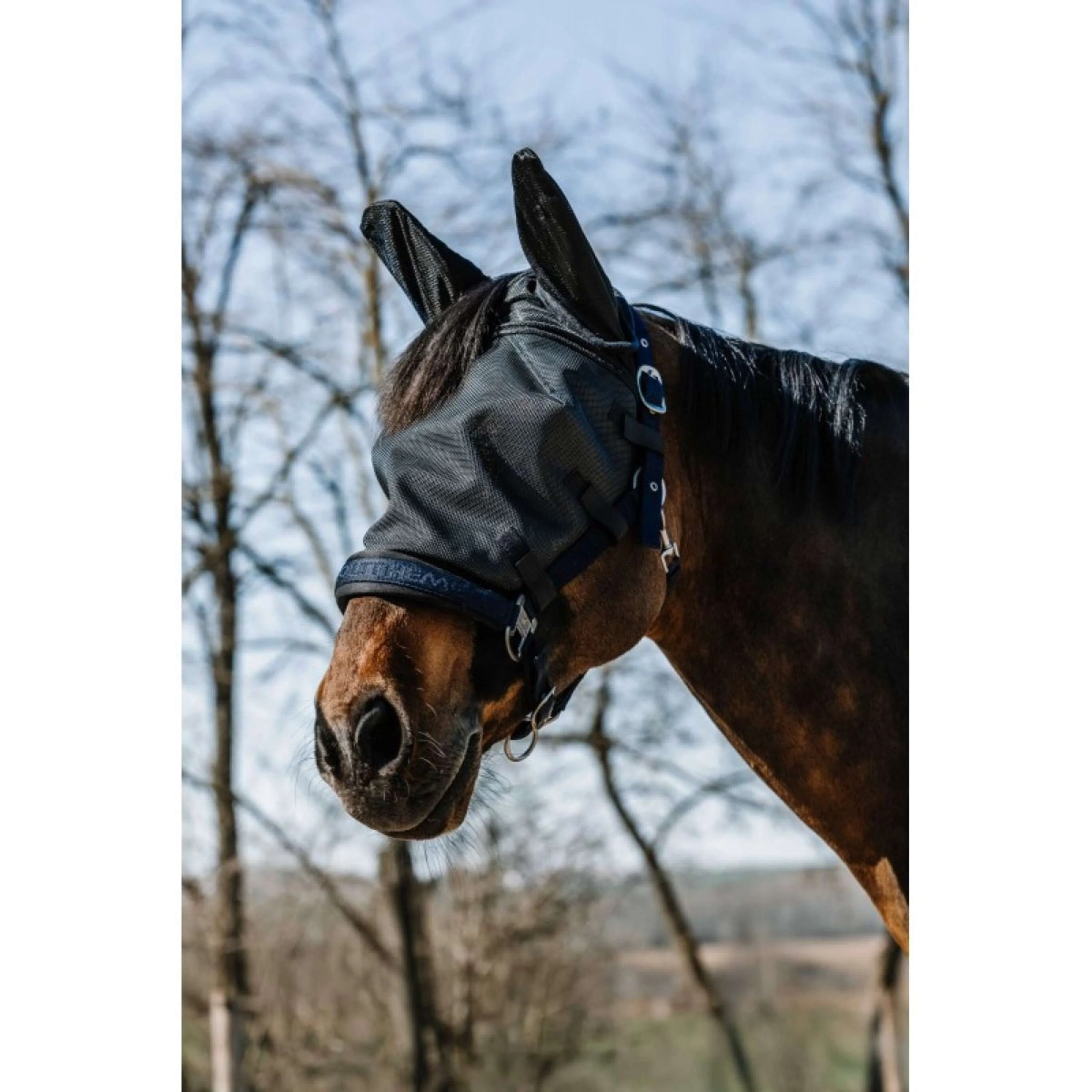 EQUITHÈME Licol Anti-Mouches avec Protection UV Noir