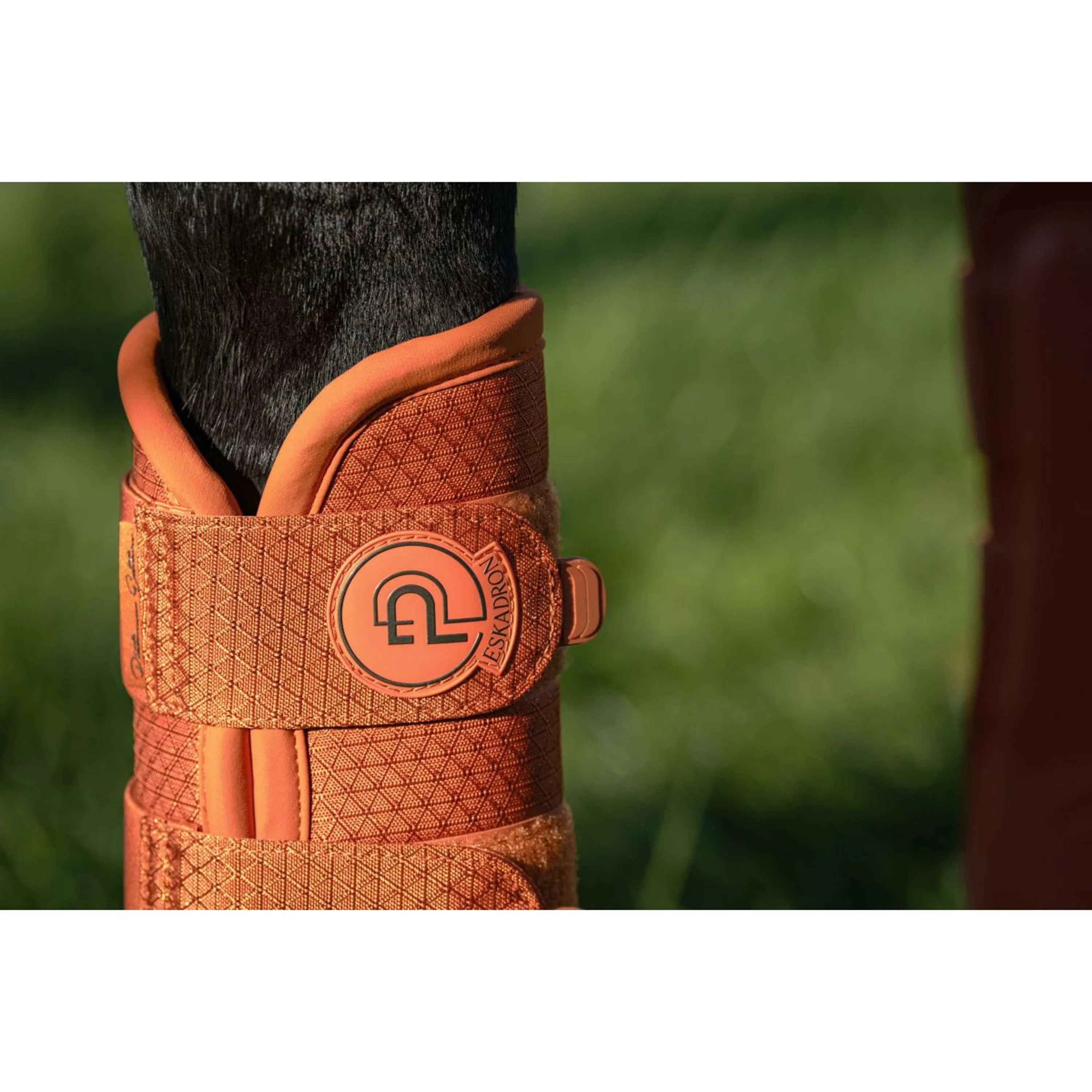 Eskadron Dressage Boots Platinum '26 1200D Sparkle Amber - Image 3