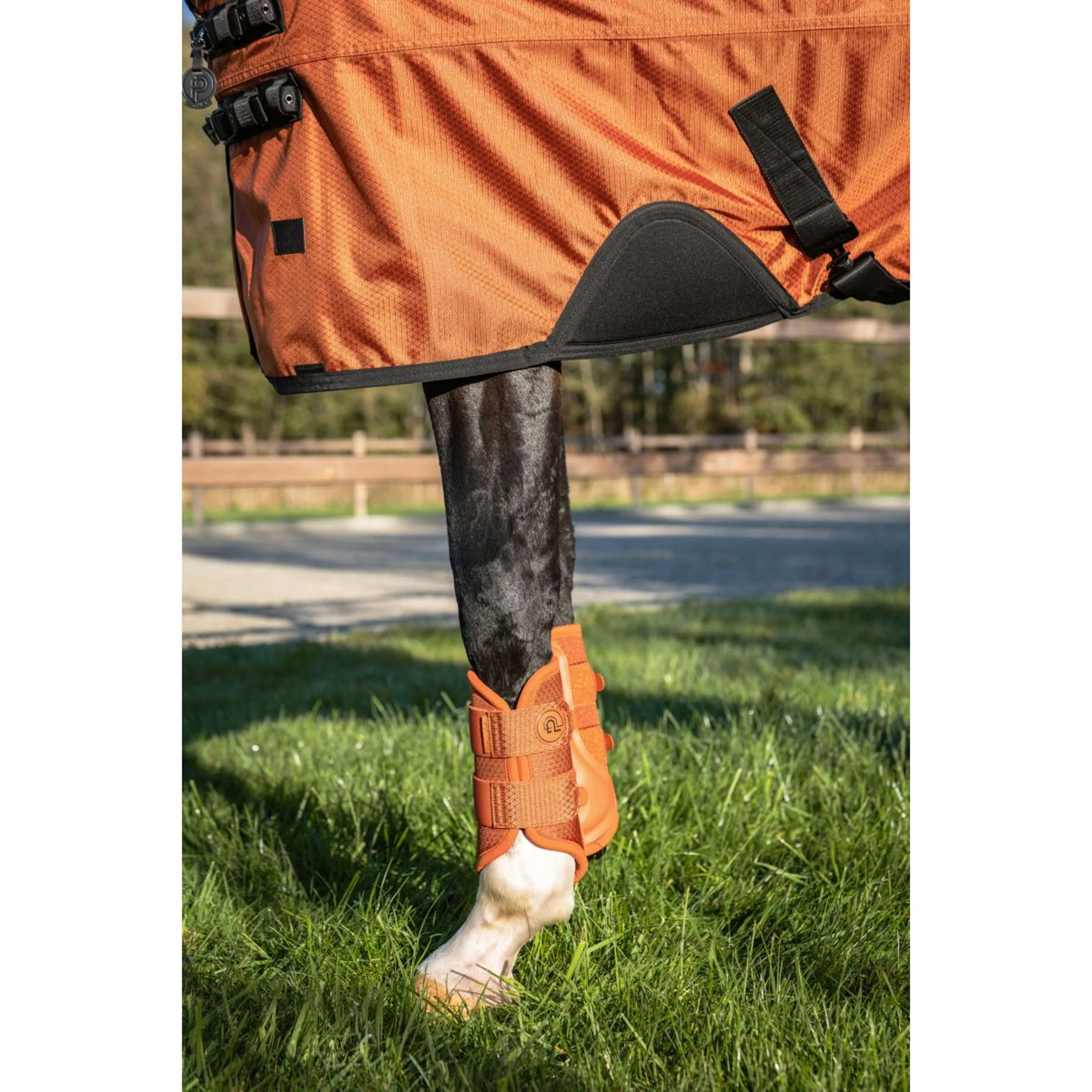 Eskadron Dressage Boots Platinum '26 1200D Sparkle Amber - Image 5