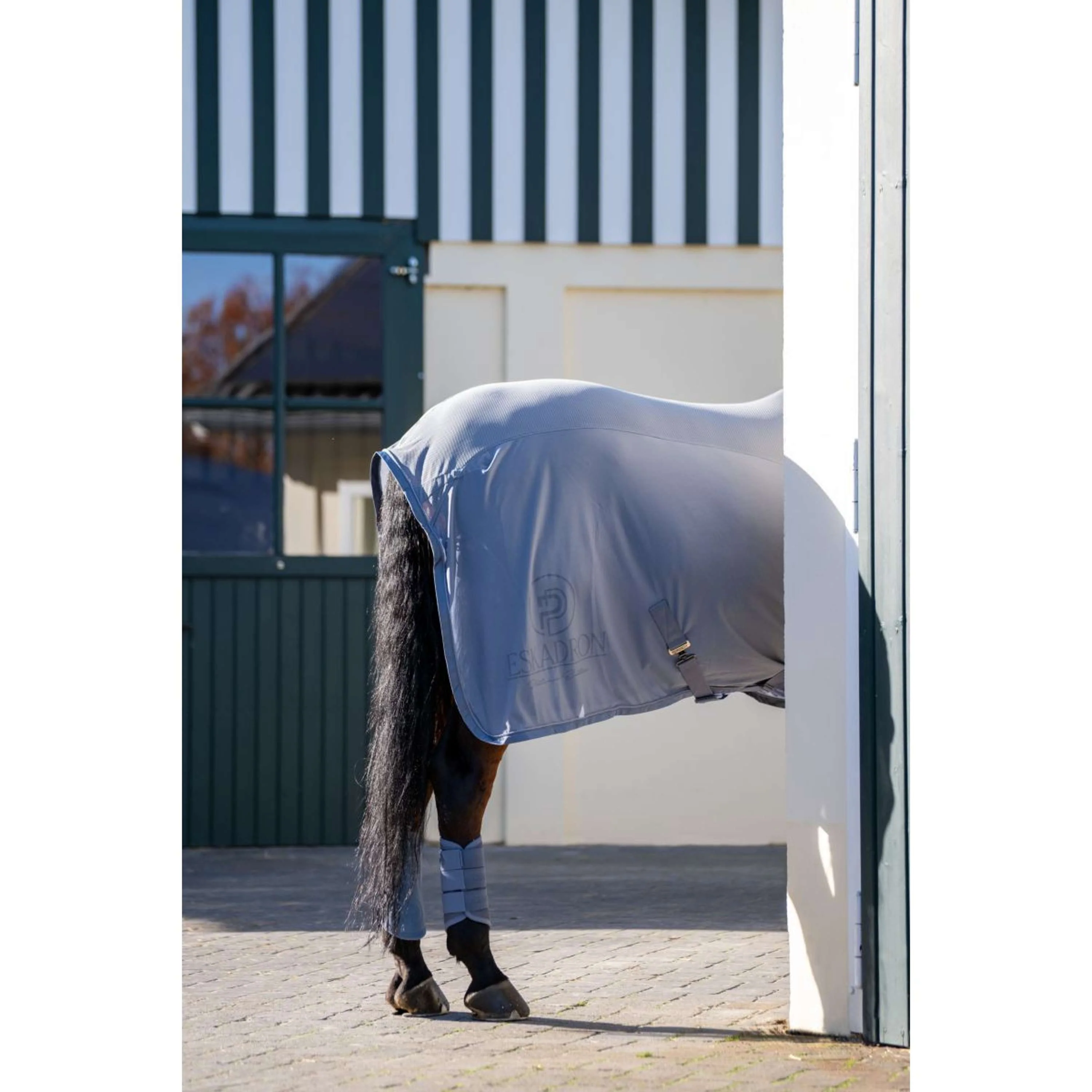 Eskadron Dressage Boots Platinum '26 Mesh Pale Grey - Image 3