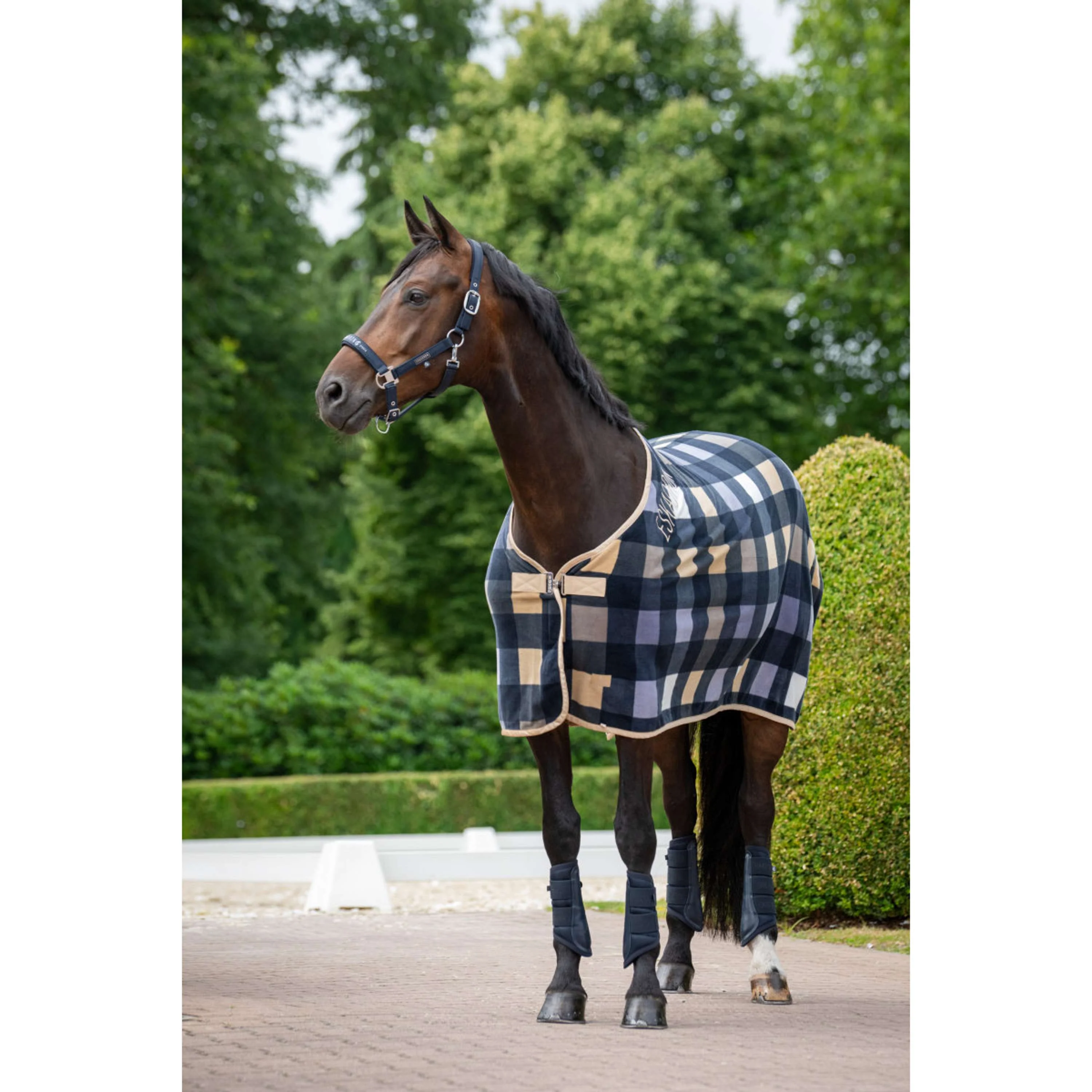 Eskadron Licol Classic Sports Sparkle Marin - Image 2
