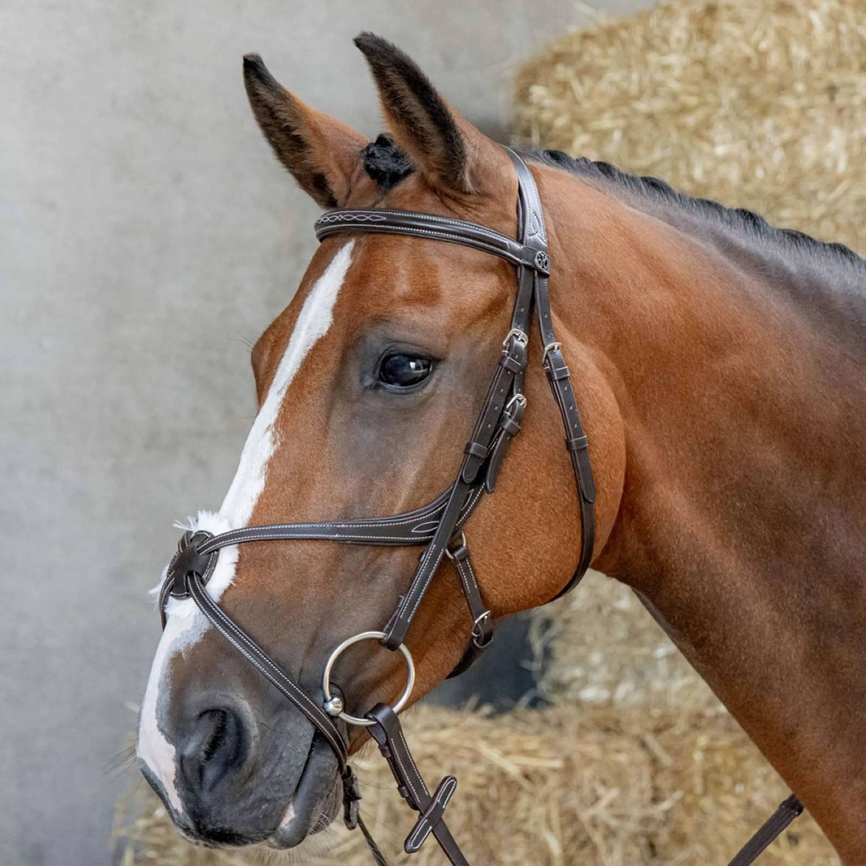 Harry's Horse Bride Mexicaine Anatomic Marron