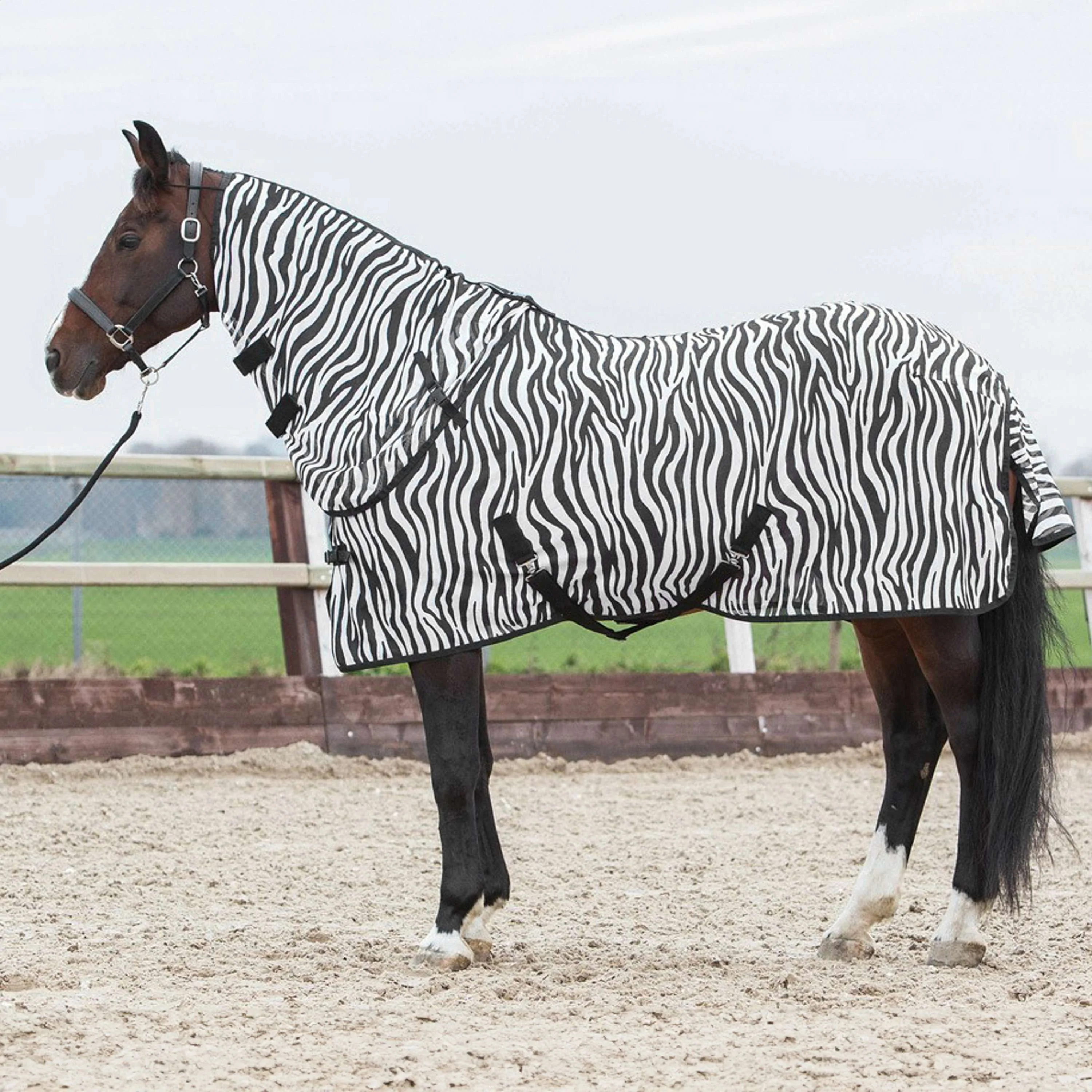 Harry's Horse Couverture Anti-Mouches Cou Indépendant Zebra