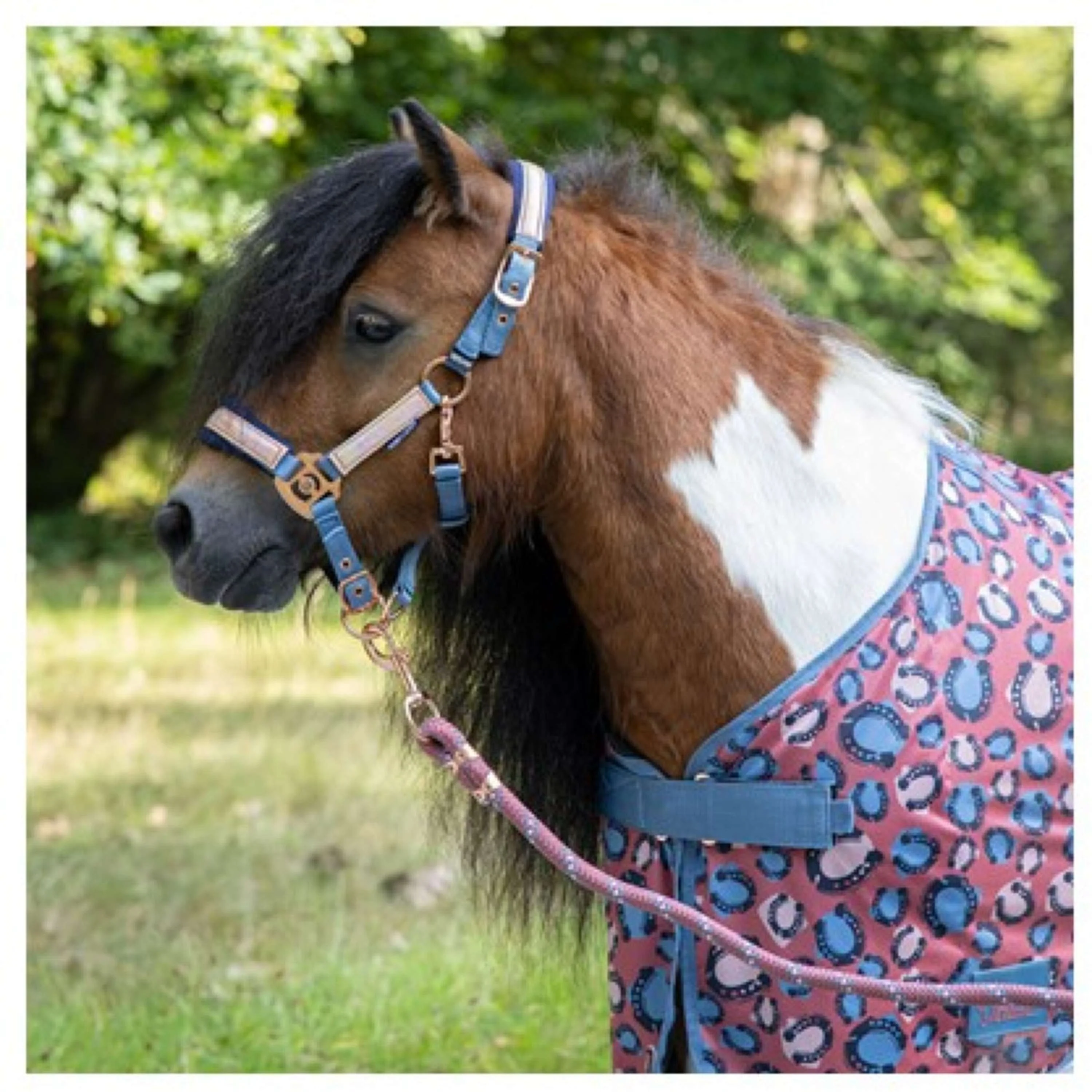 Harry's Horse Couverture Anti-Mouches Diva Mauvewood Mesh-Pro Mauvewood - Image 2