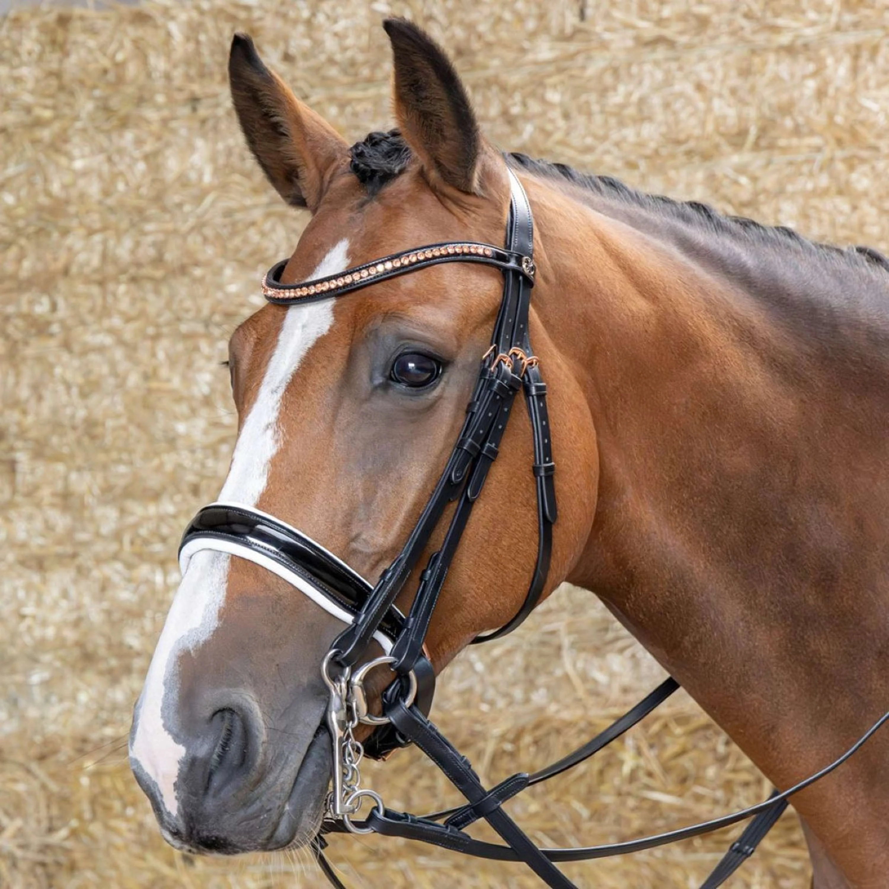 Harry's Horse Ensemble Bride Soft Rosegold Noir