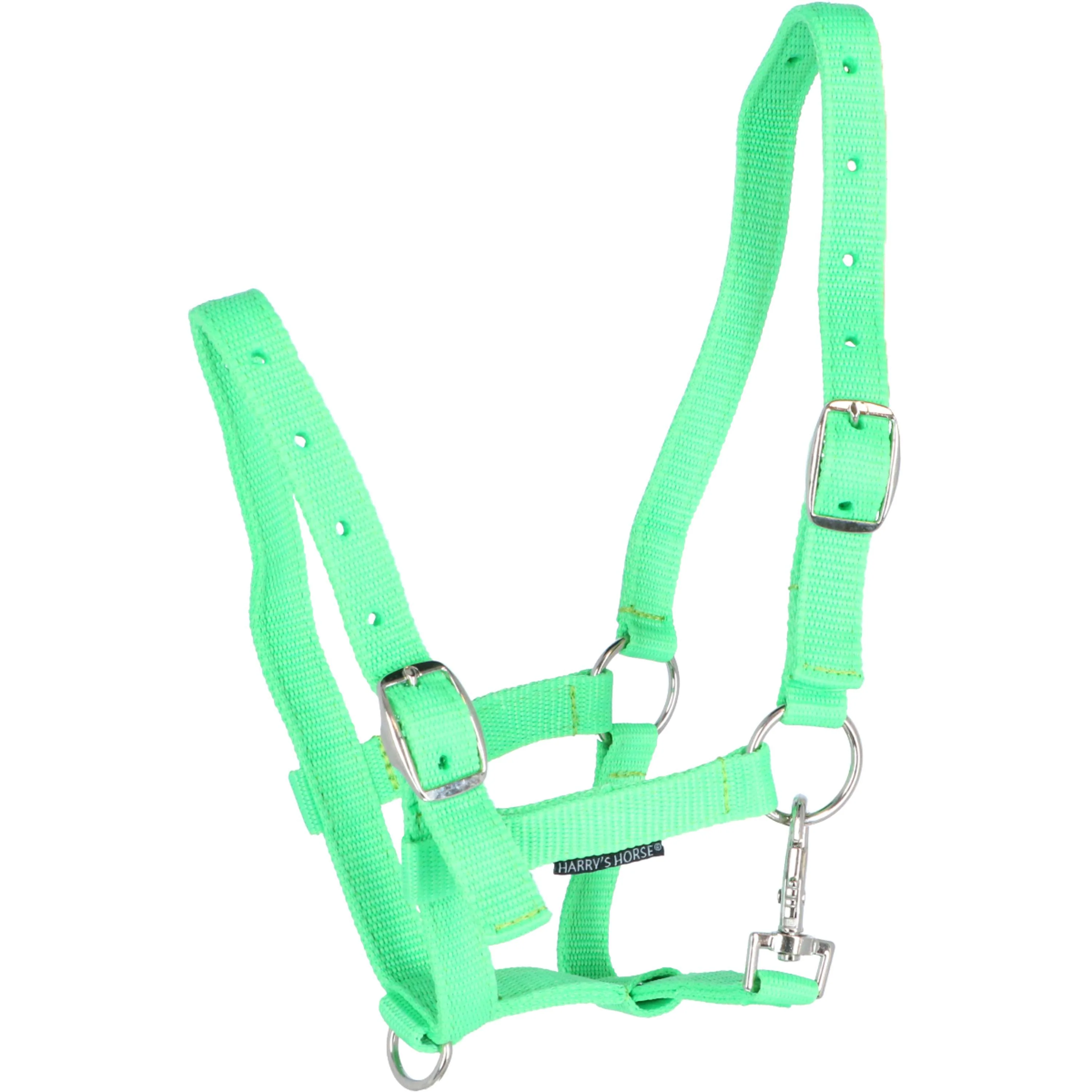 Harry's Horse Licol pour Poulain Limette doux
