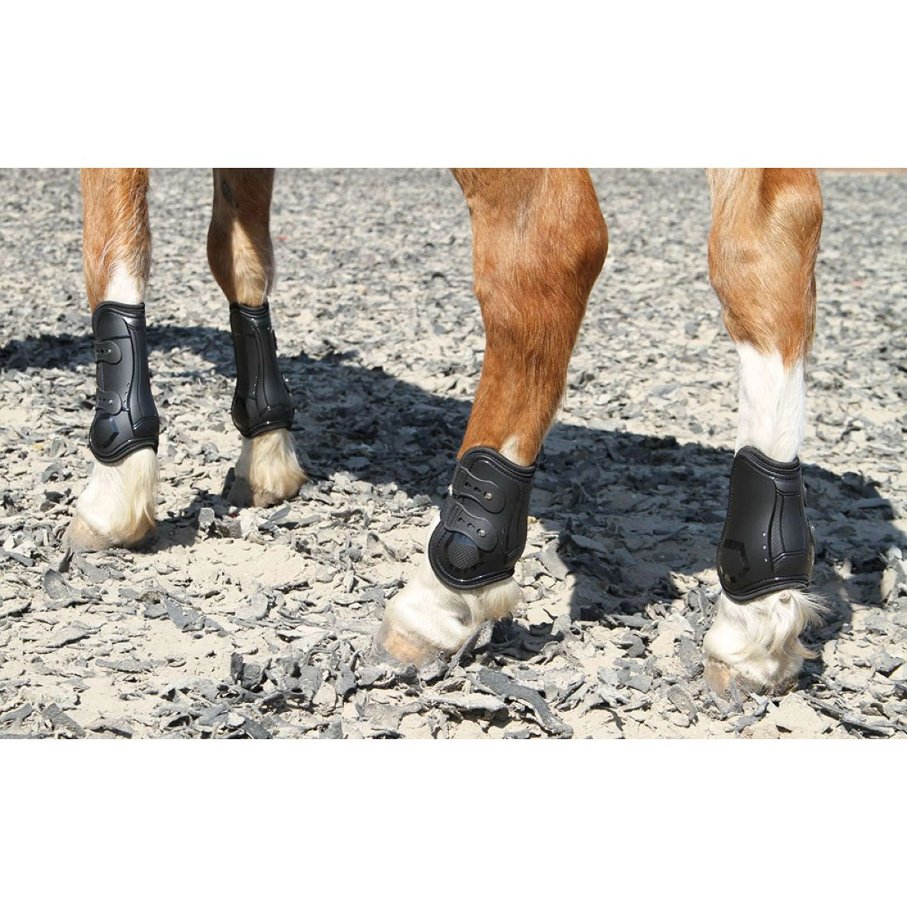 Harry's Horse Protèges-Tendons Percy Noir - Image 3