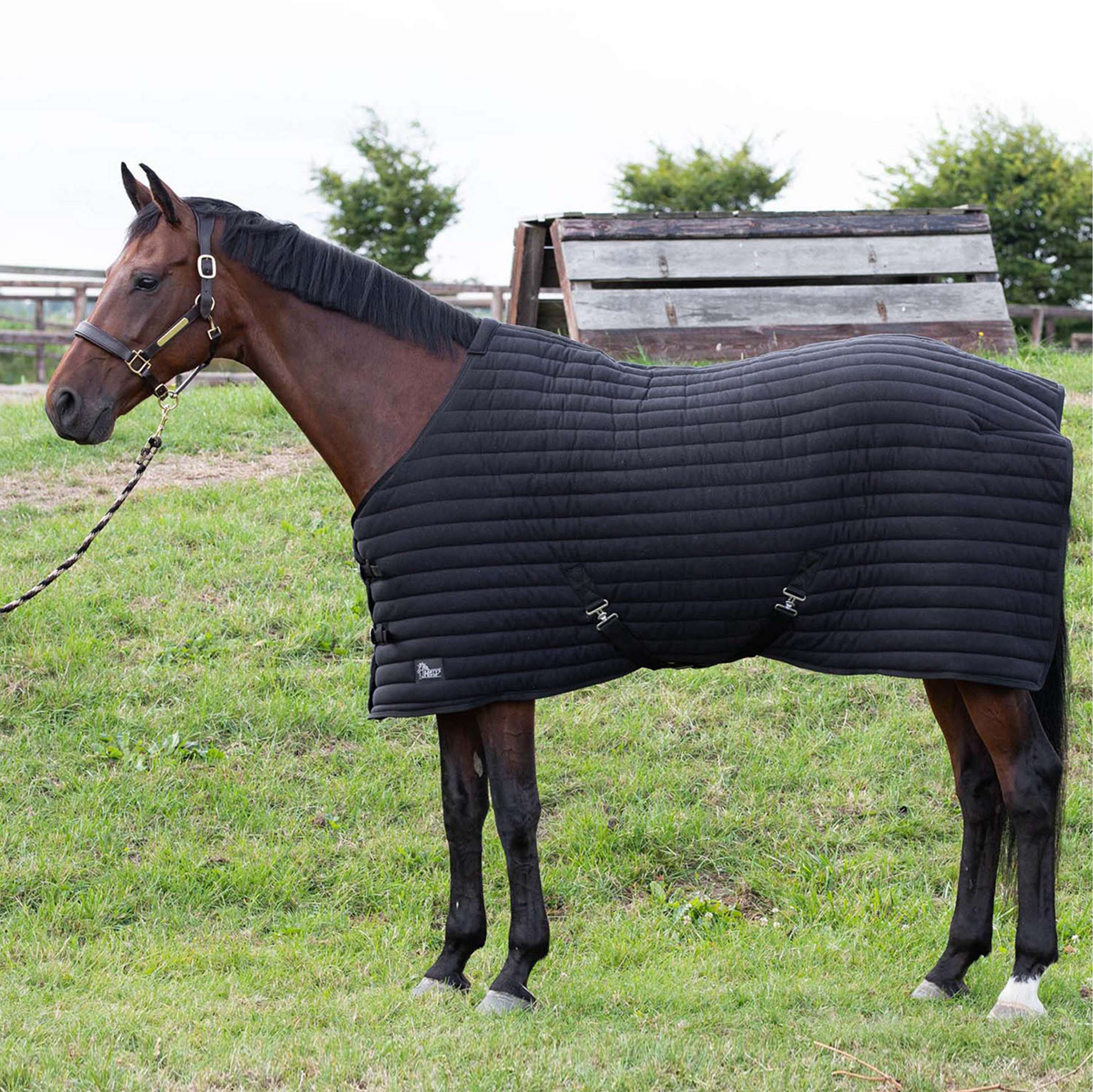 Harry's Horse Sous-Couverture Powerliner 200g Noir