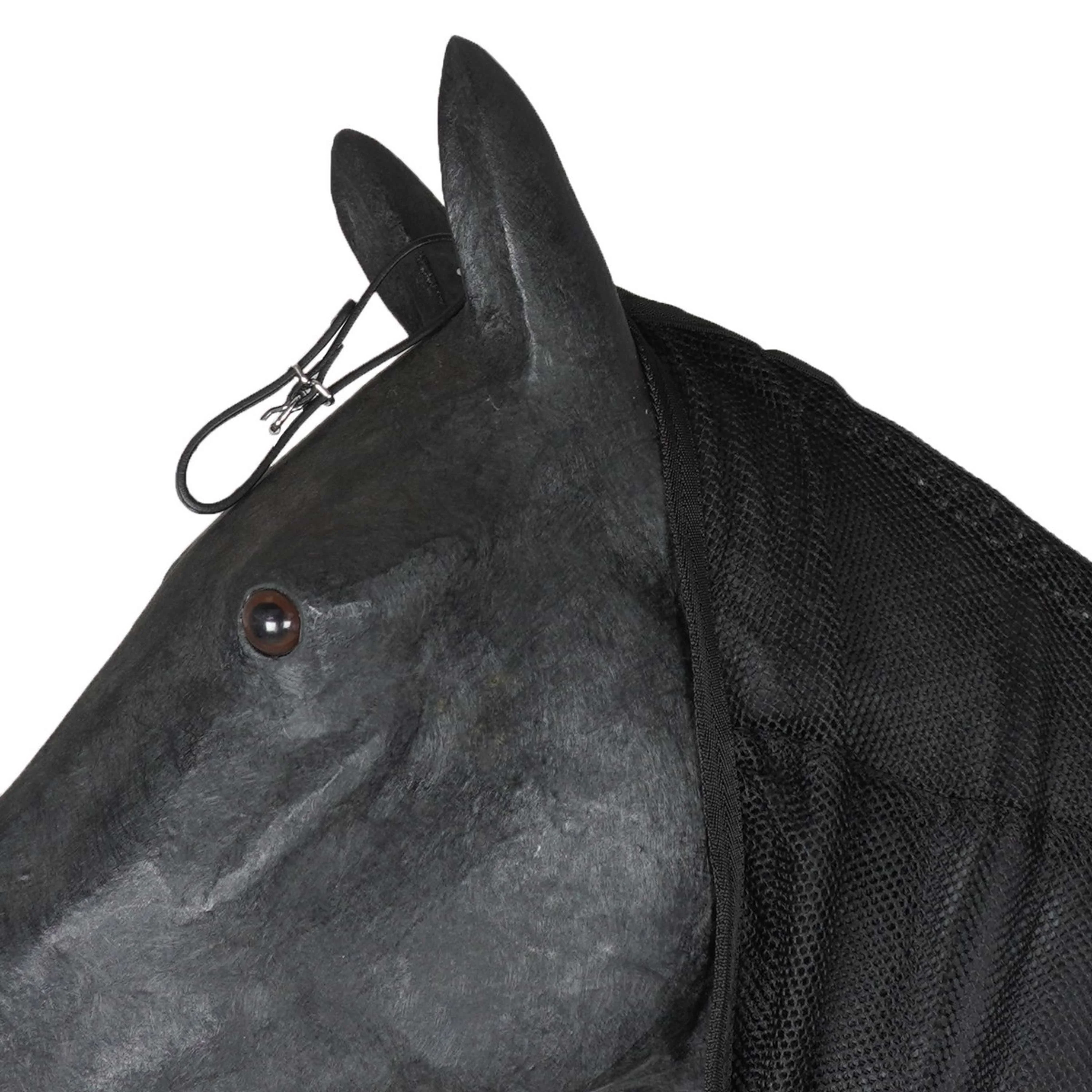 HB Couverture Anti-Mouches pour chevaux d'attelage avec Couvre-cou Noir - Image 4