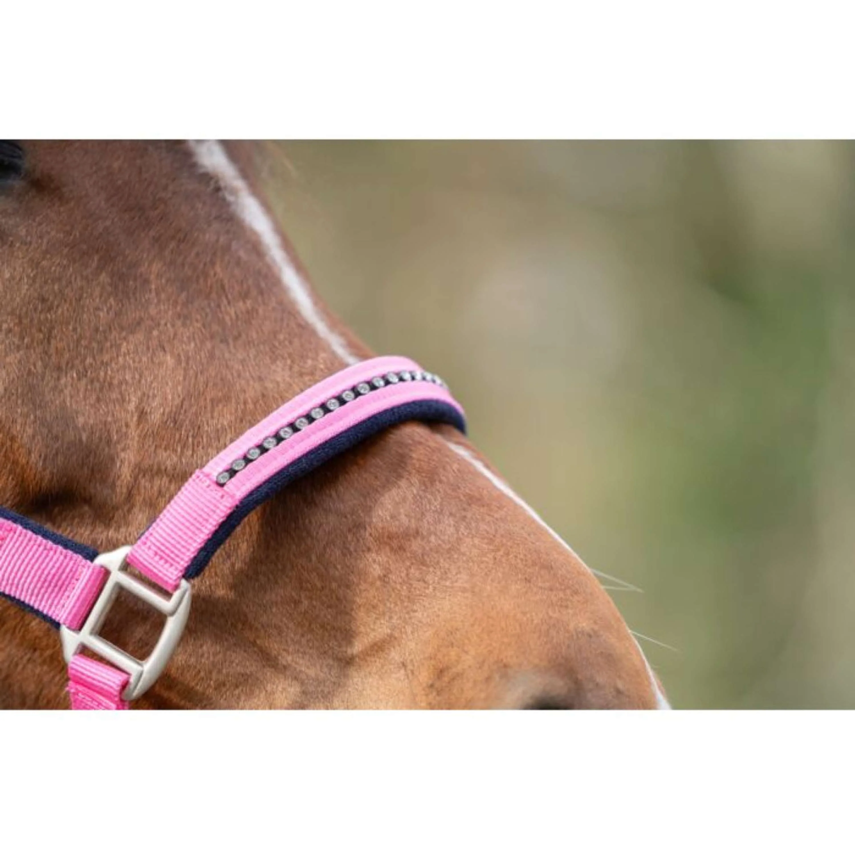 HKM Ensemble Licol Crystal Souple Rembourrage Rose/Bleu foncé - Image 4