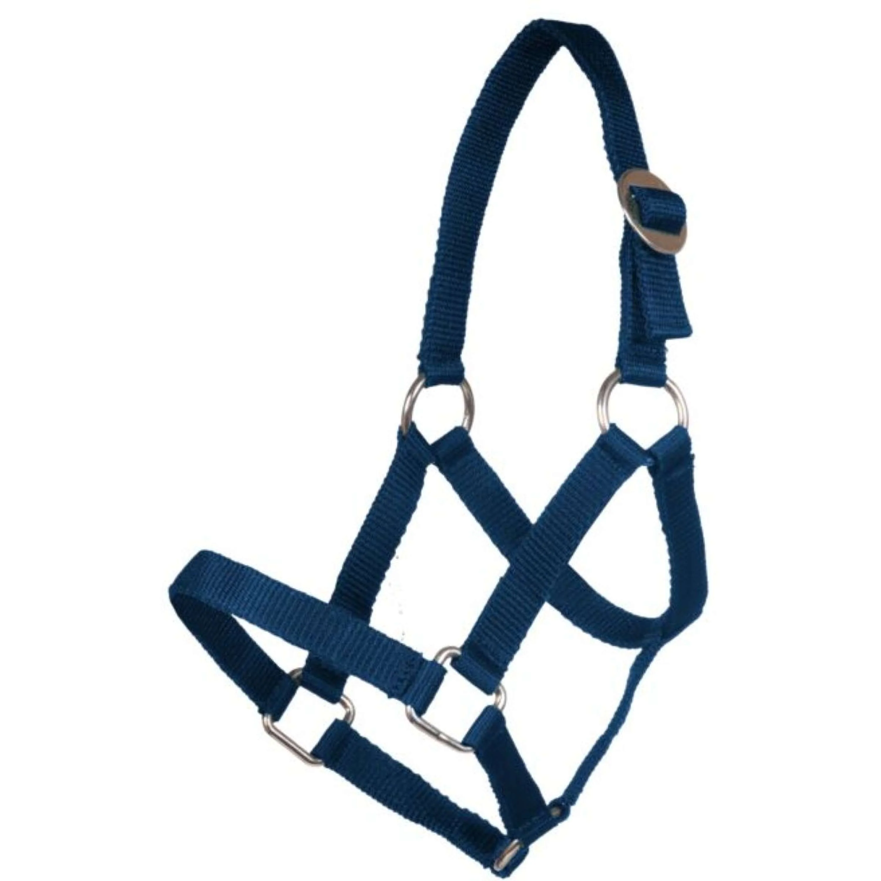 HKM Licol Mini Shetland Bleu Foncé