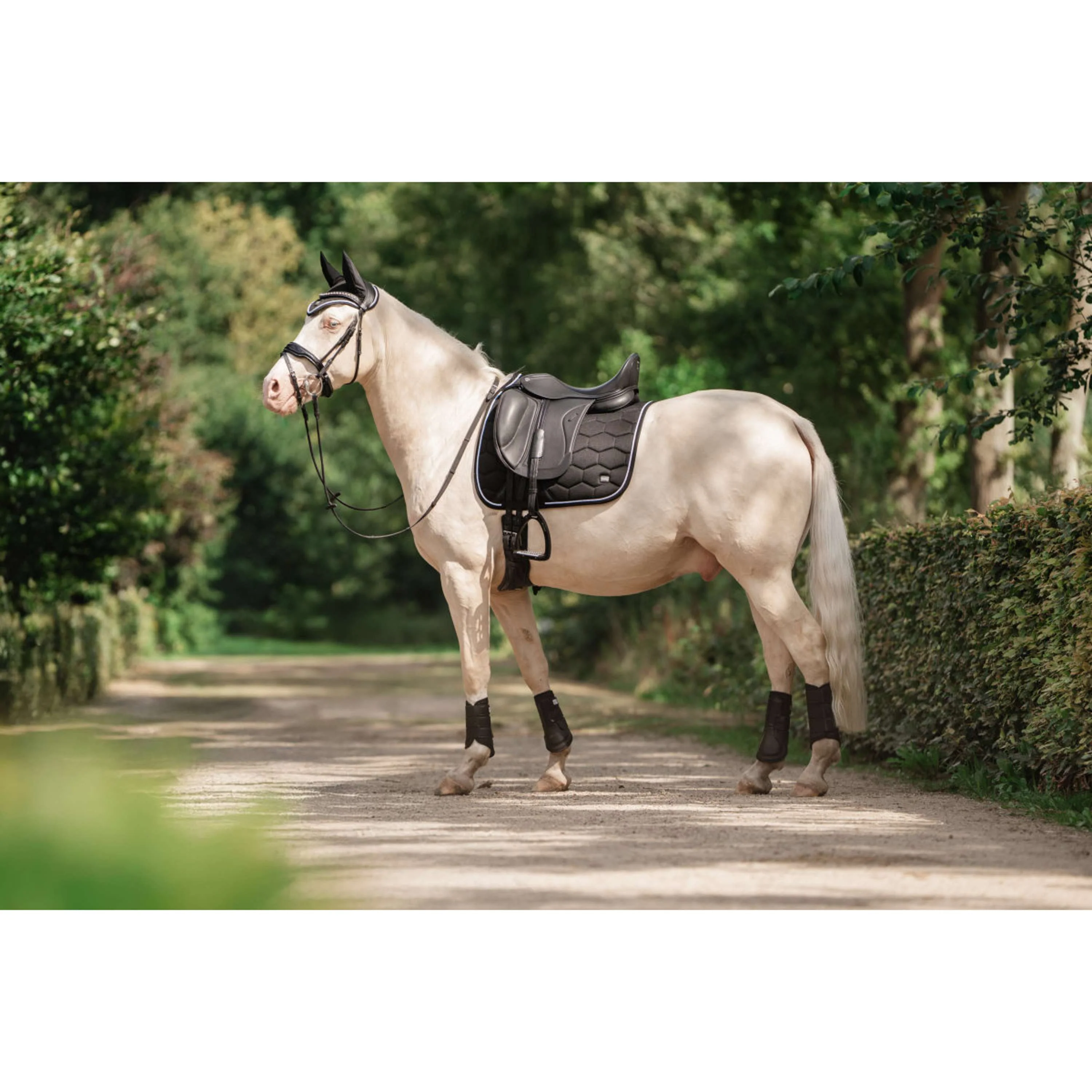 EQPRO Tapis de Selle Precious Dressage Noir - Image 3