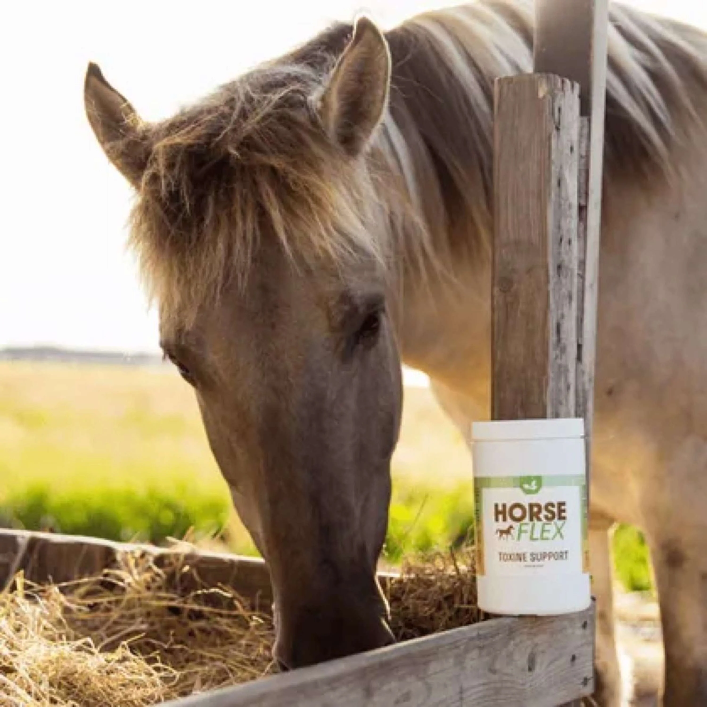 HorseFlex Toxine Support - Image 3