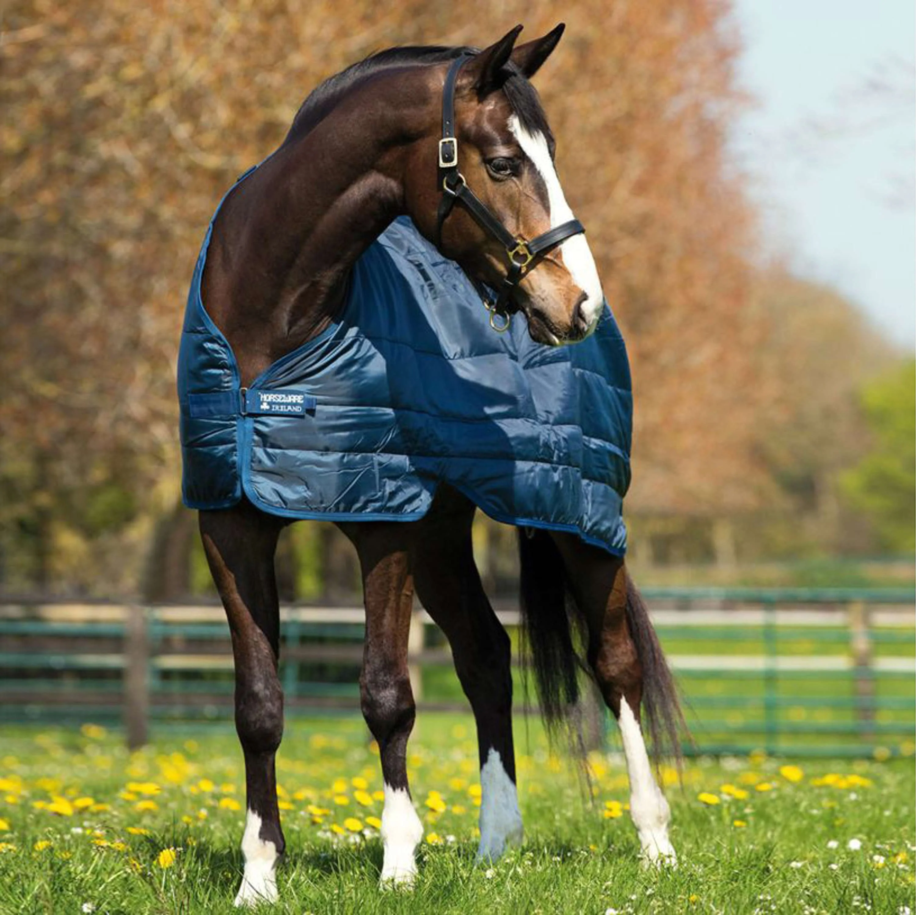 Horseware Couverture Liner 400g Marin